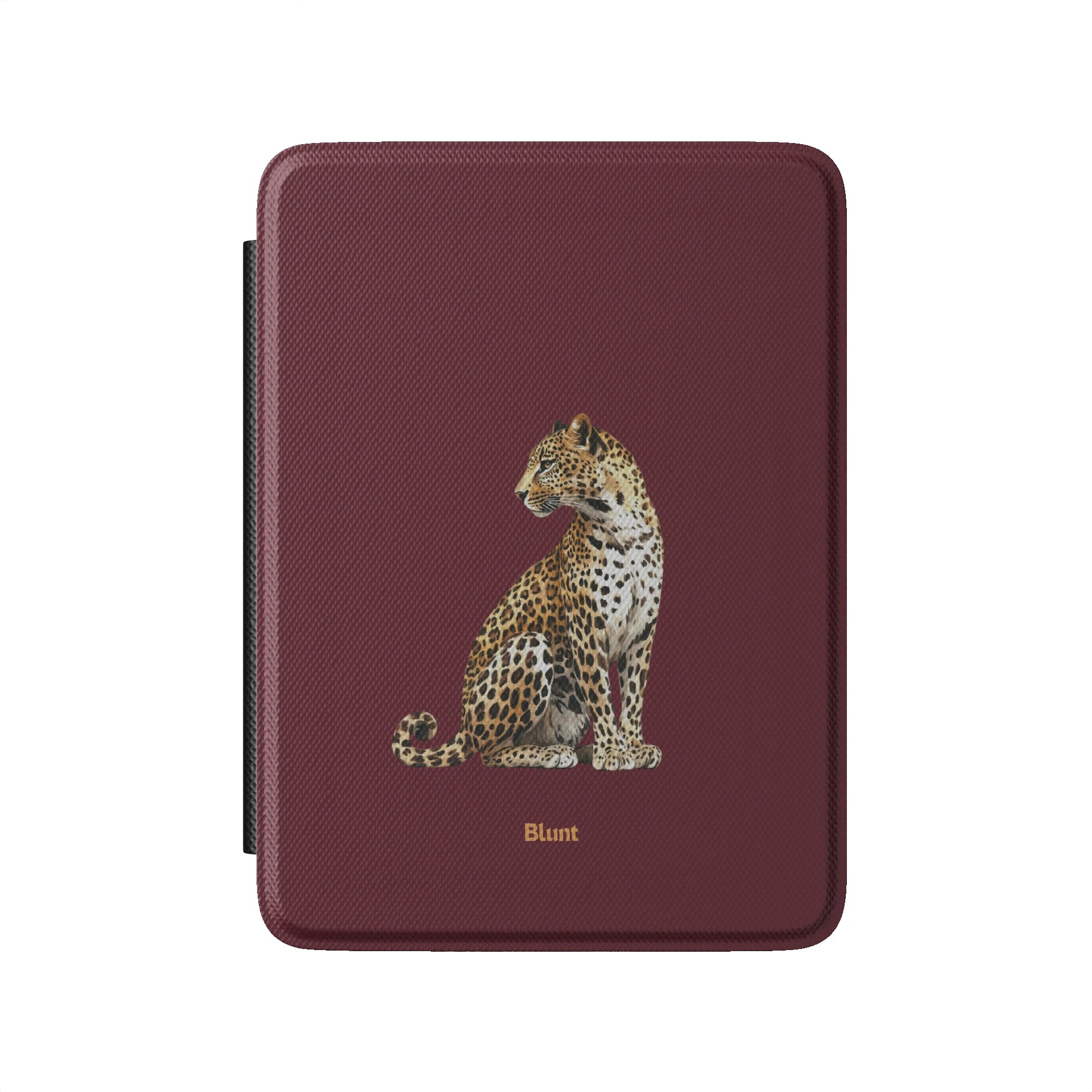 Kindle_Standard_2