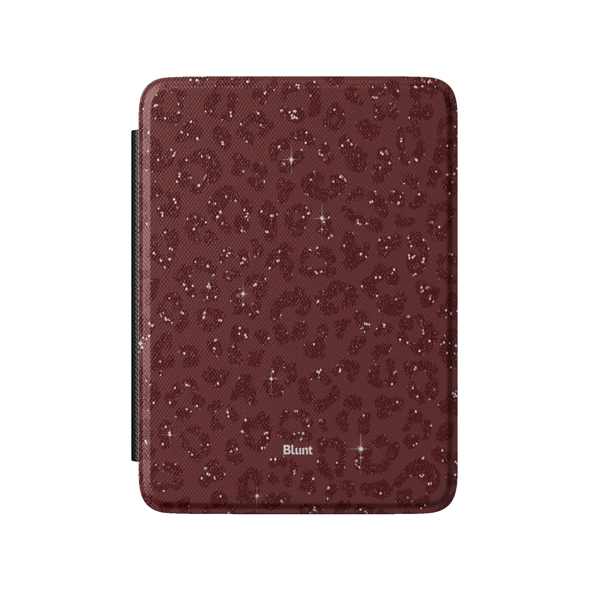 Kindle_Standard_2