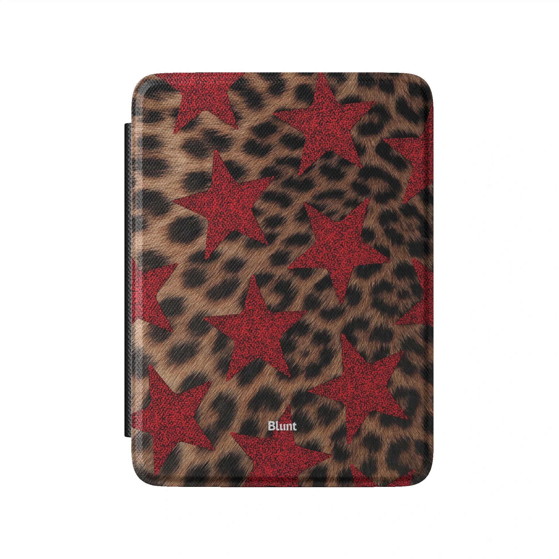 Kindle_Standard_2