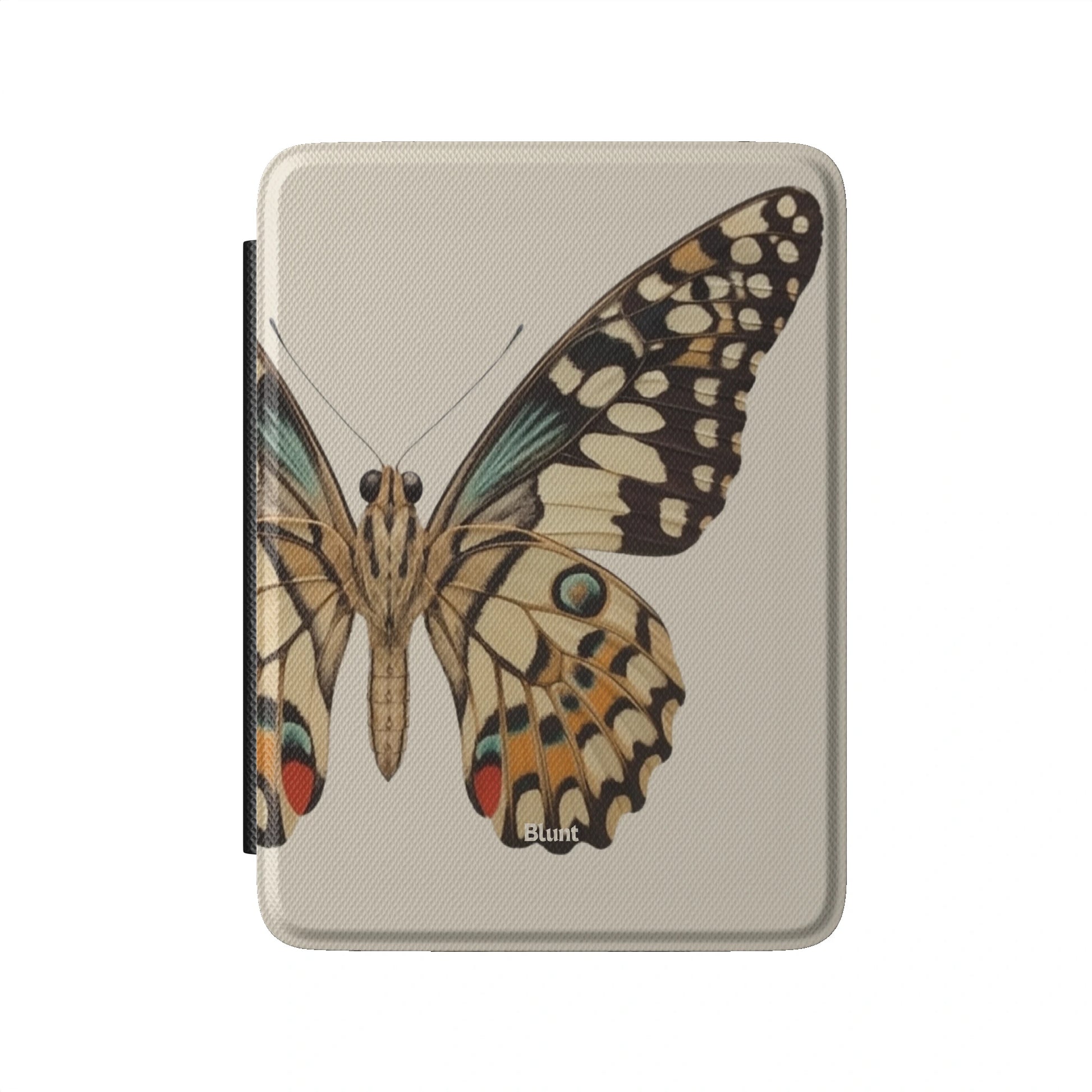 Kindle_Standard_2