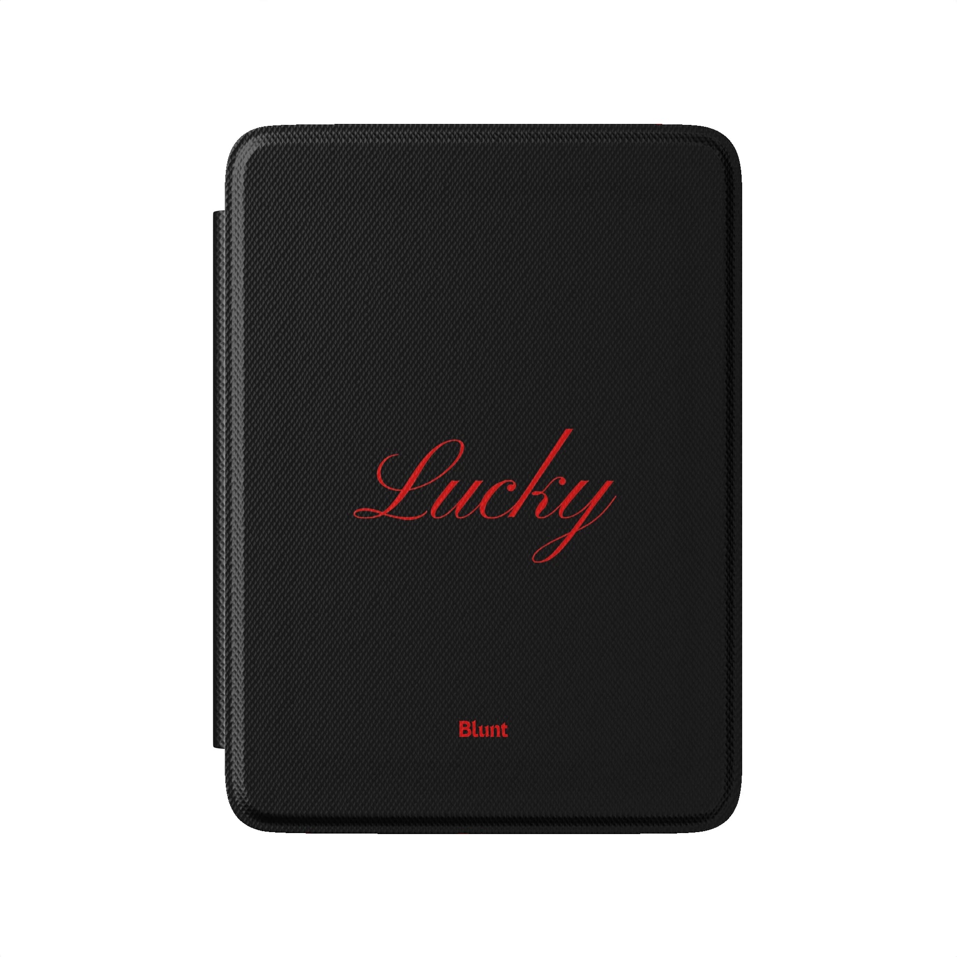 Kindle_Standard_2