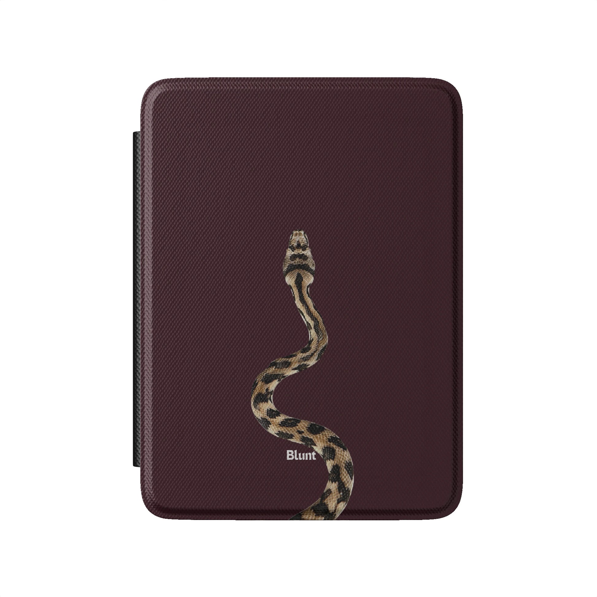Kindle_Standard_2
