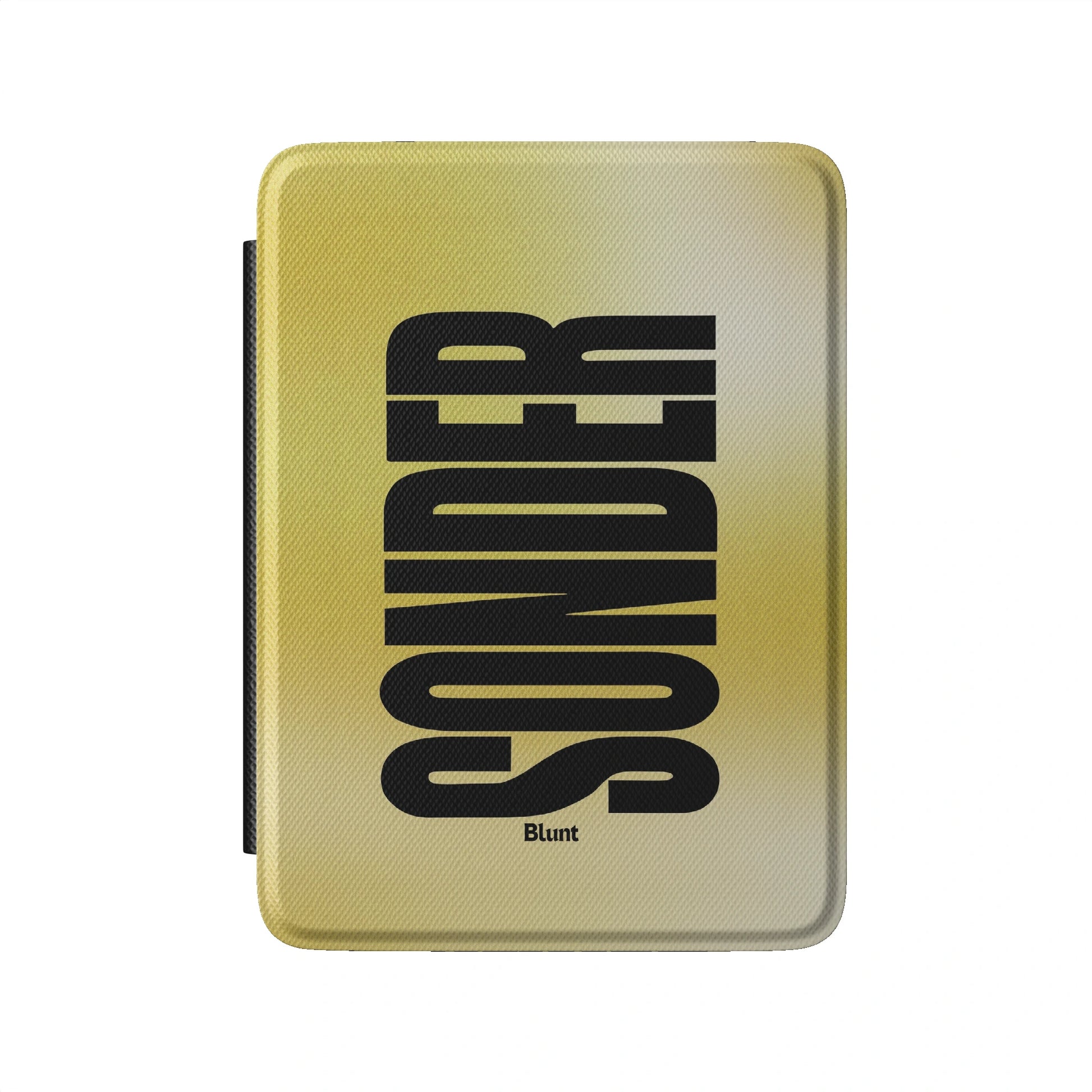 Kindle_Standard_2