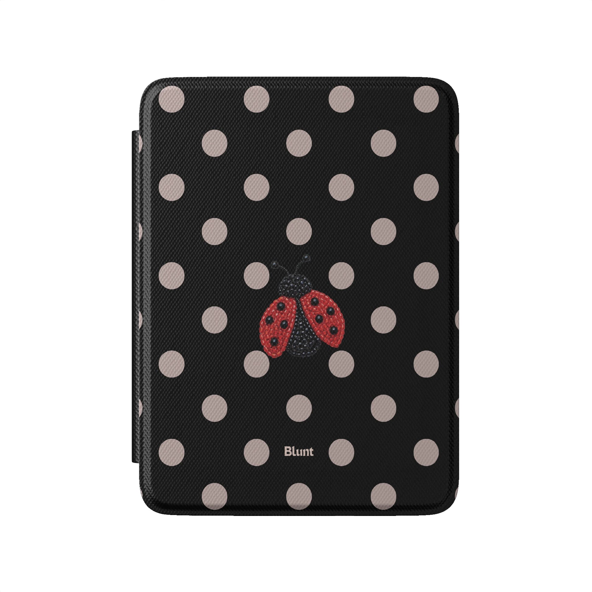 Kindle_Standard_2
