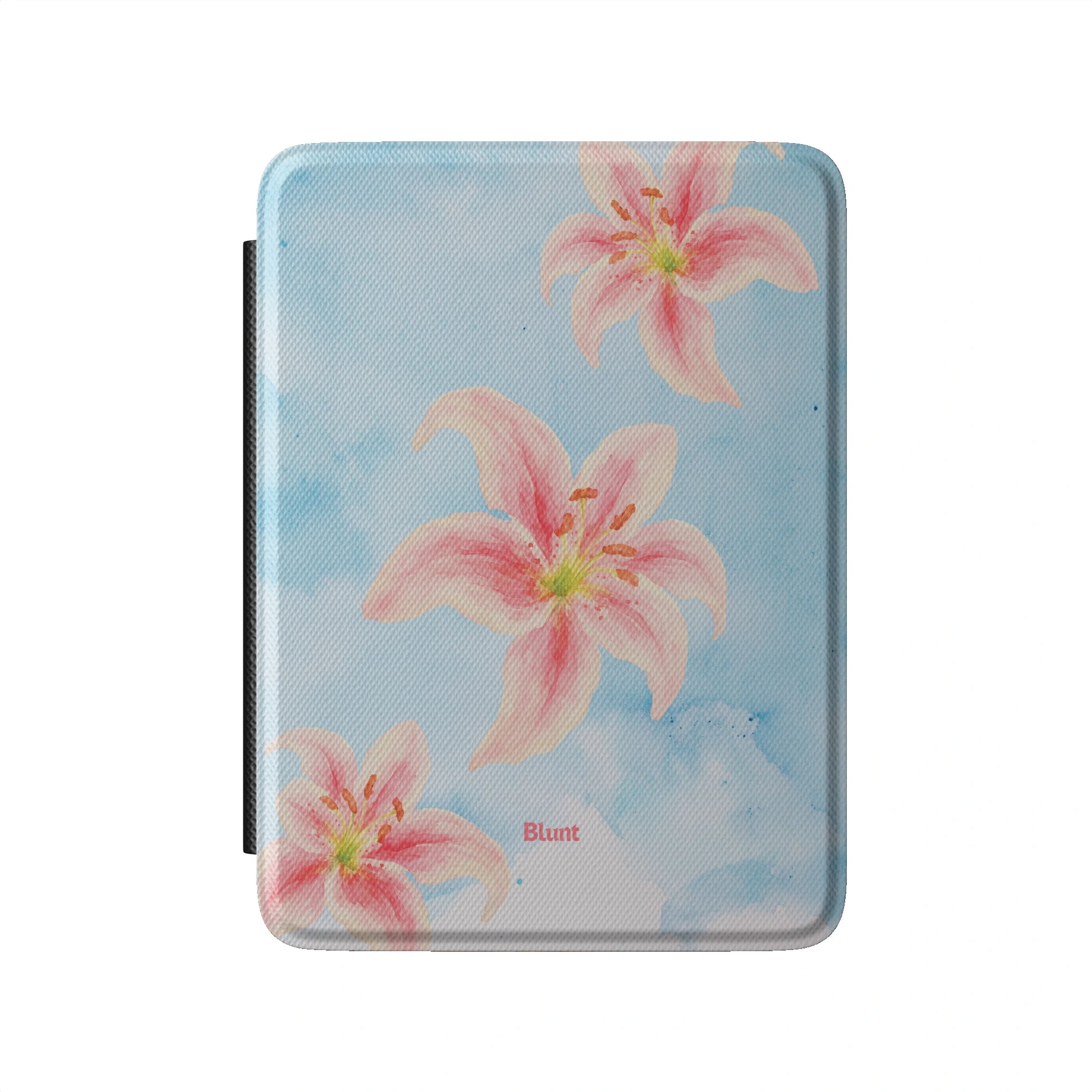 Kindle_Standard_2