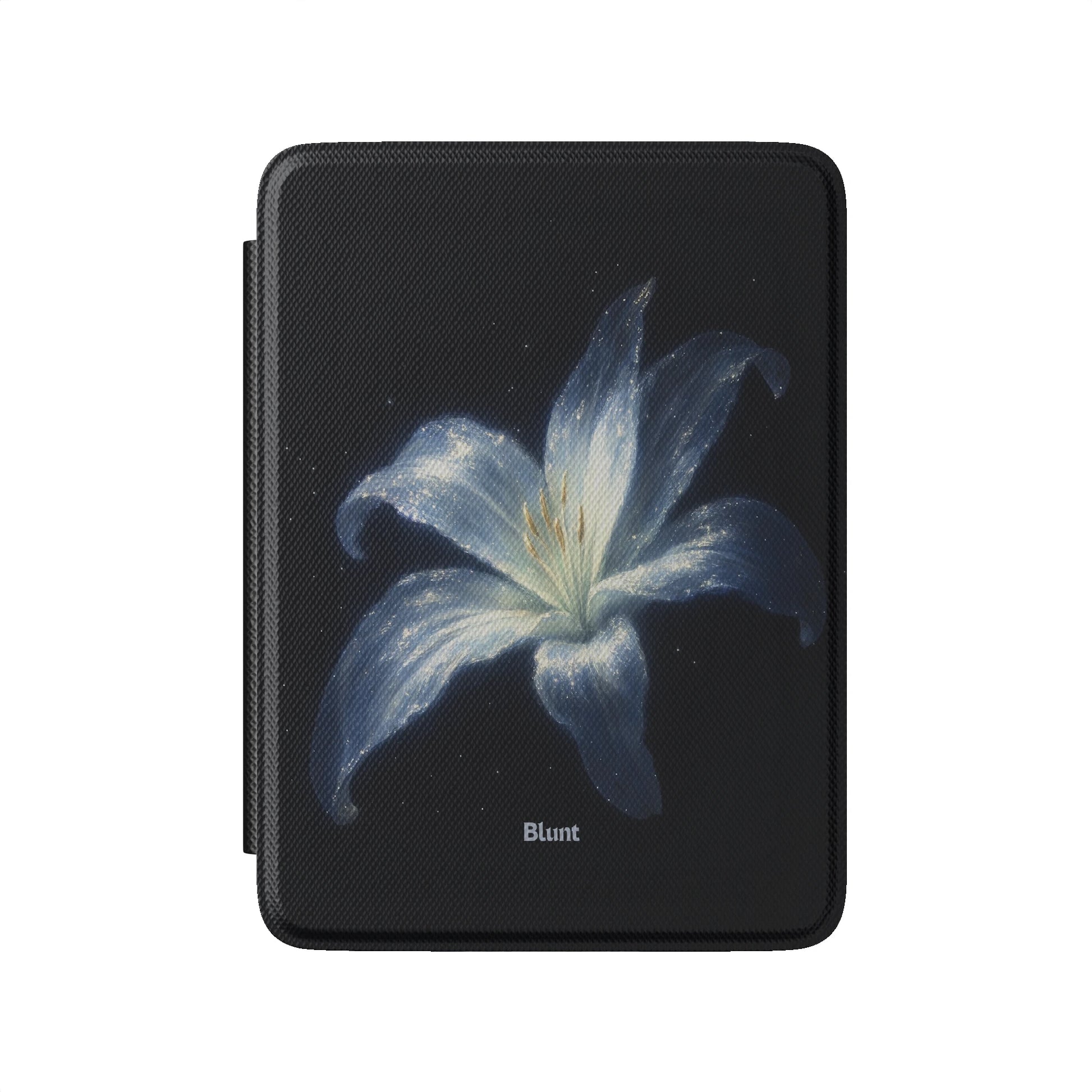 Kindle_Standard_2