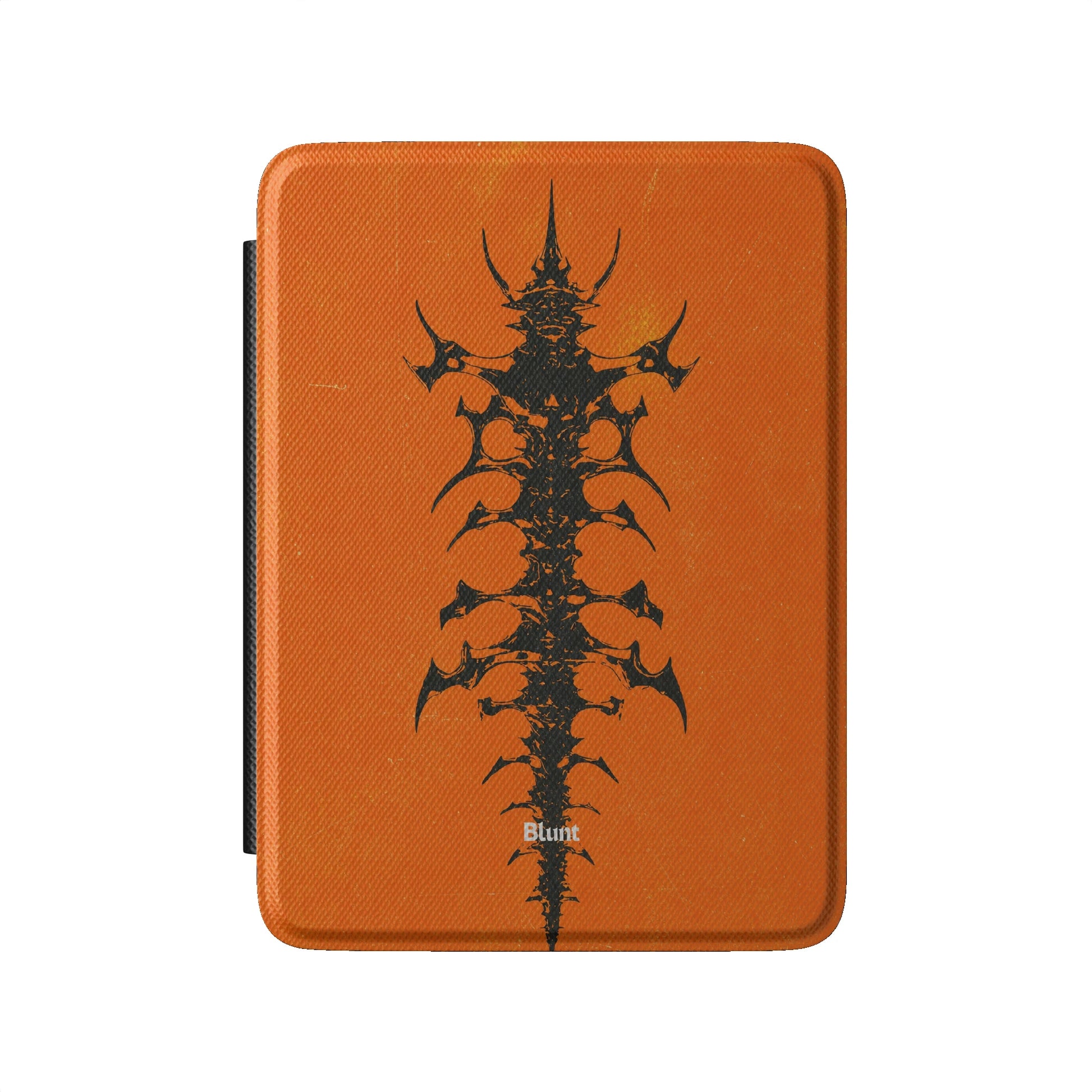 Kindle_Standard_2