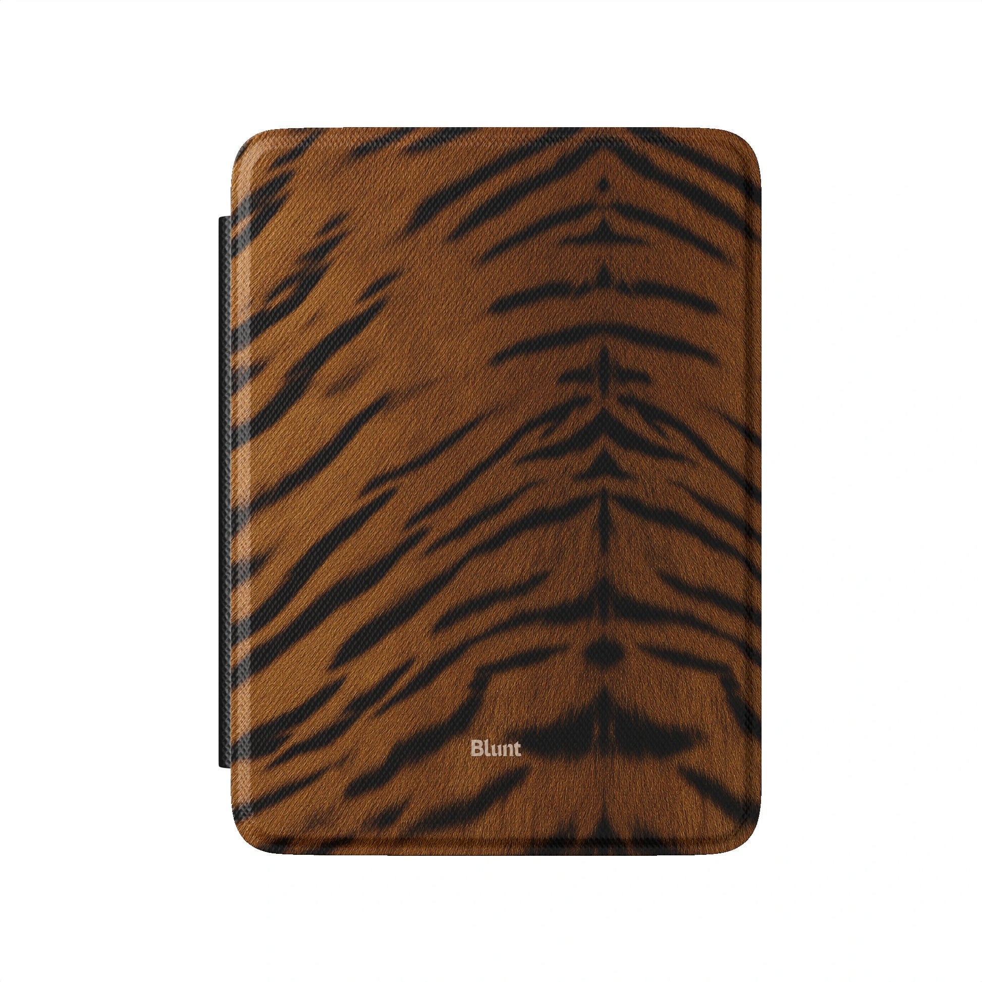 Kindle_Standard_2