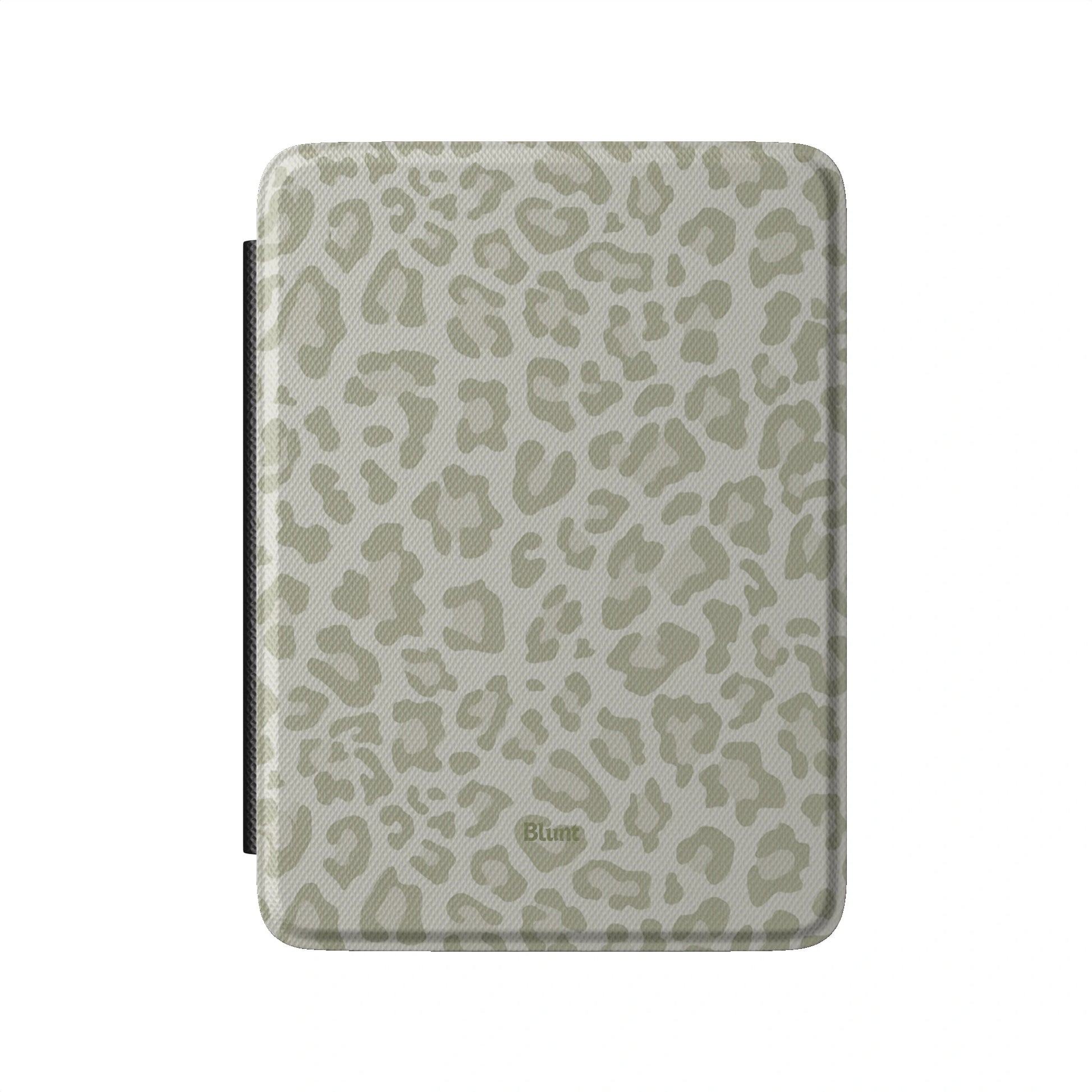 Kindle_Standard_2