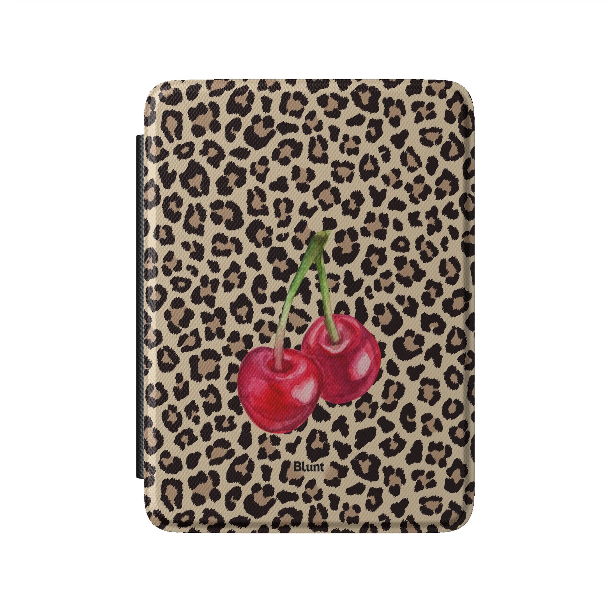 Kindle_Standard_2