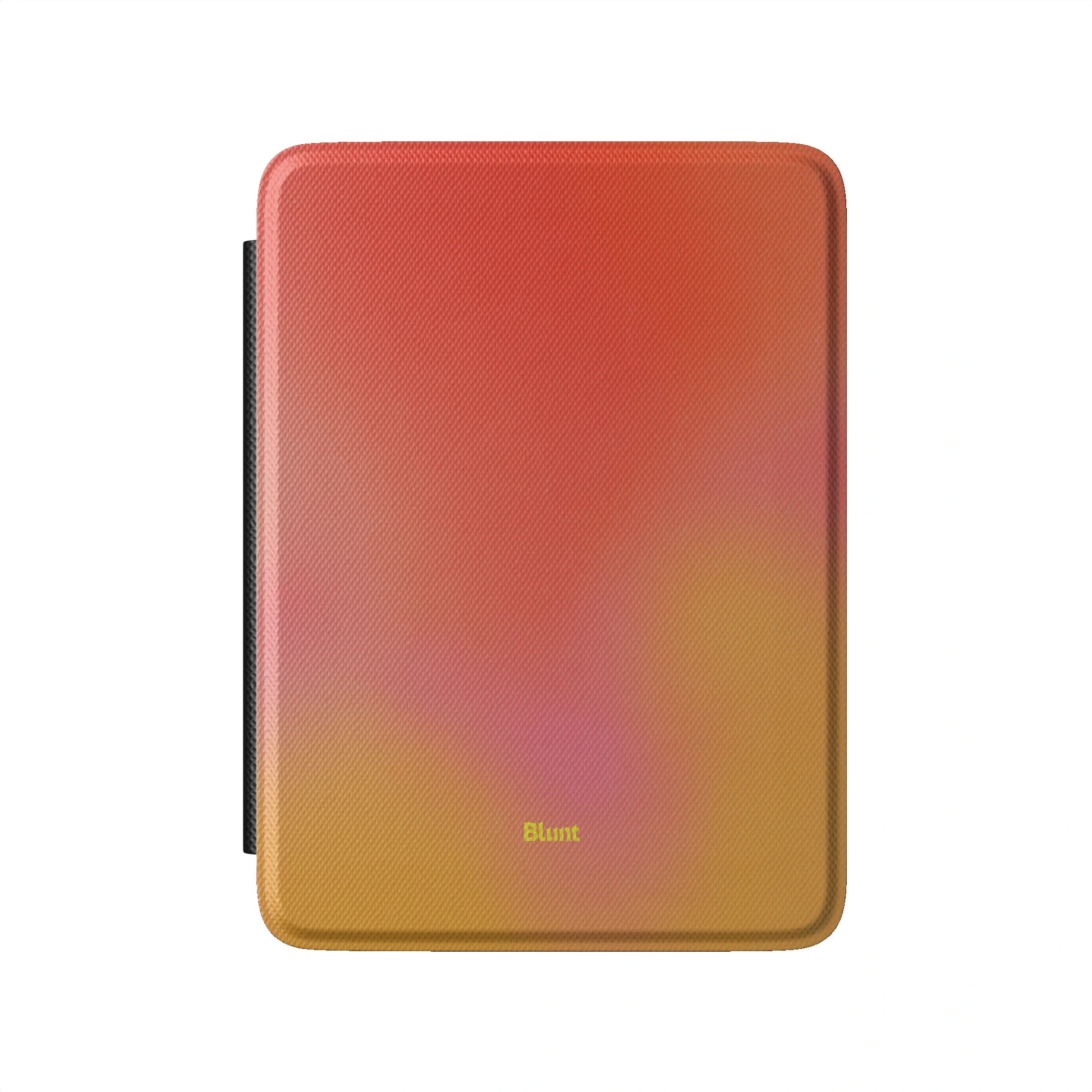 Kindle_Standard_2