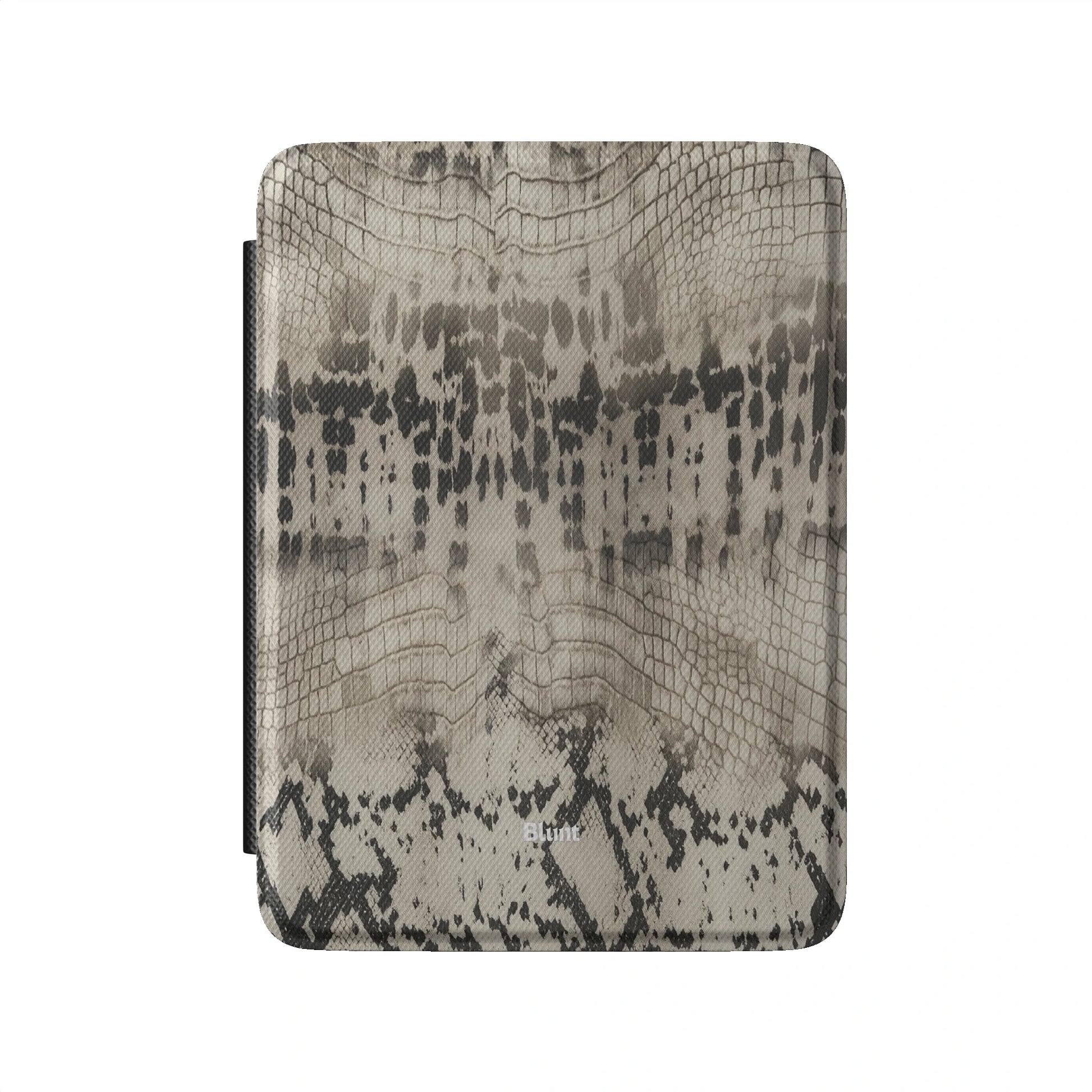 Kindle_Standard_2