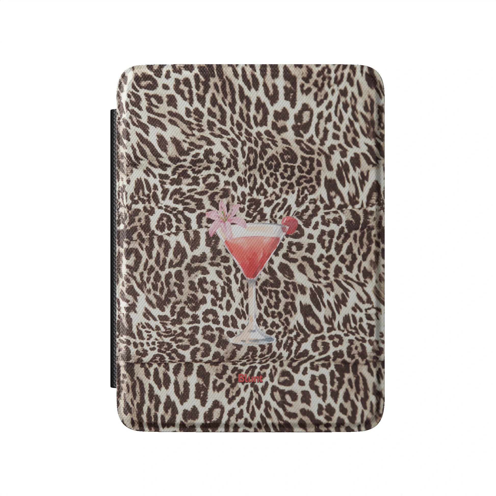 Kindle_Standard_2