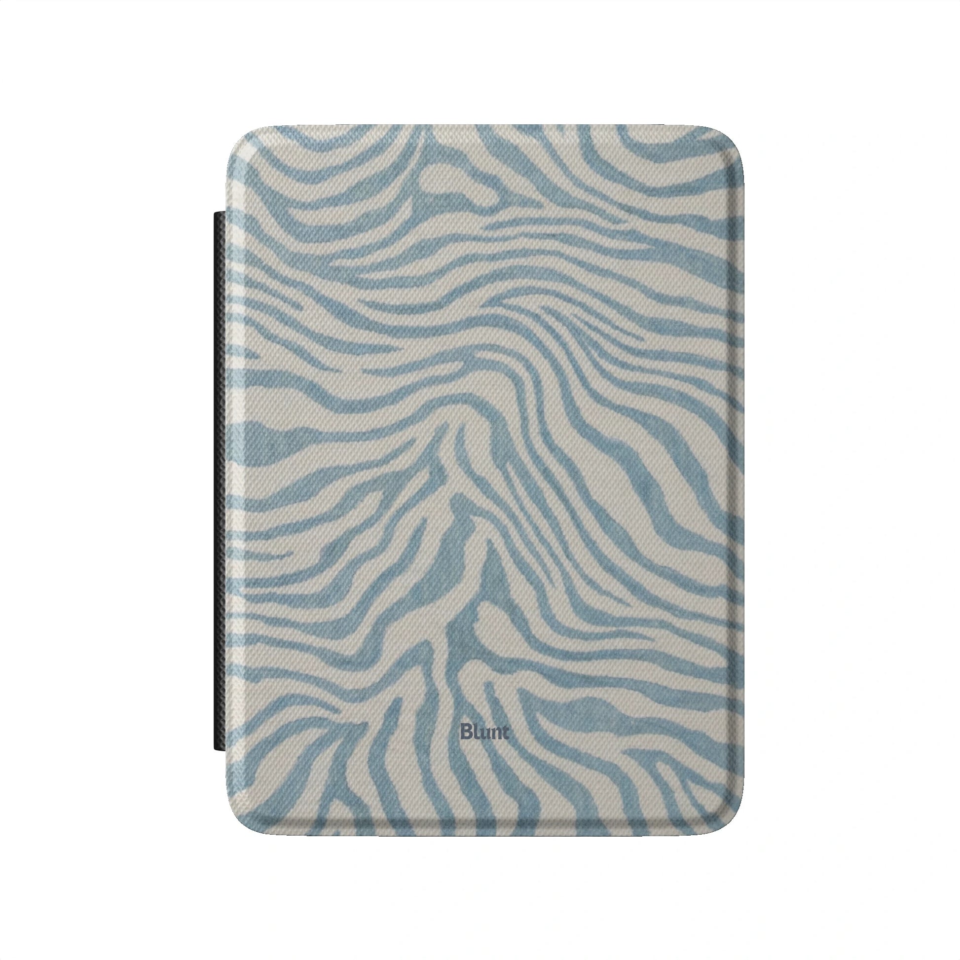 Kindle_Standard_2