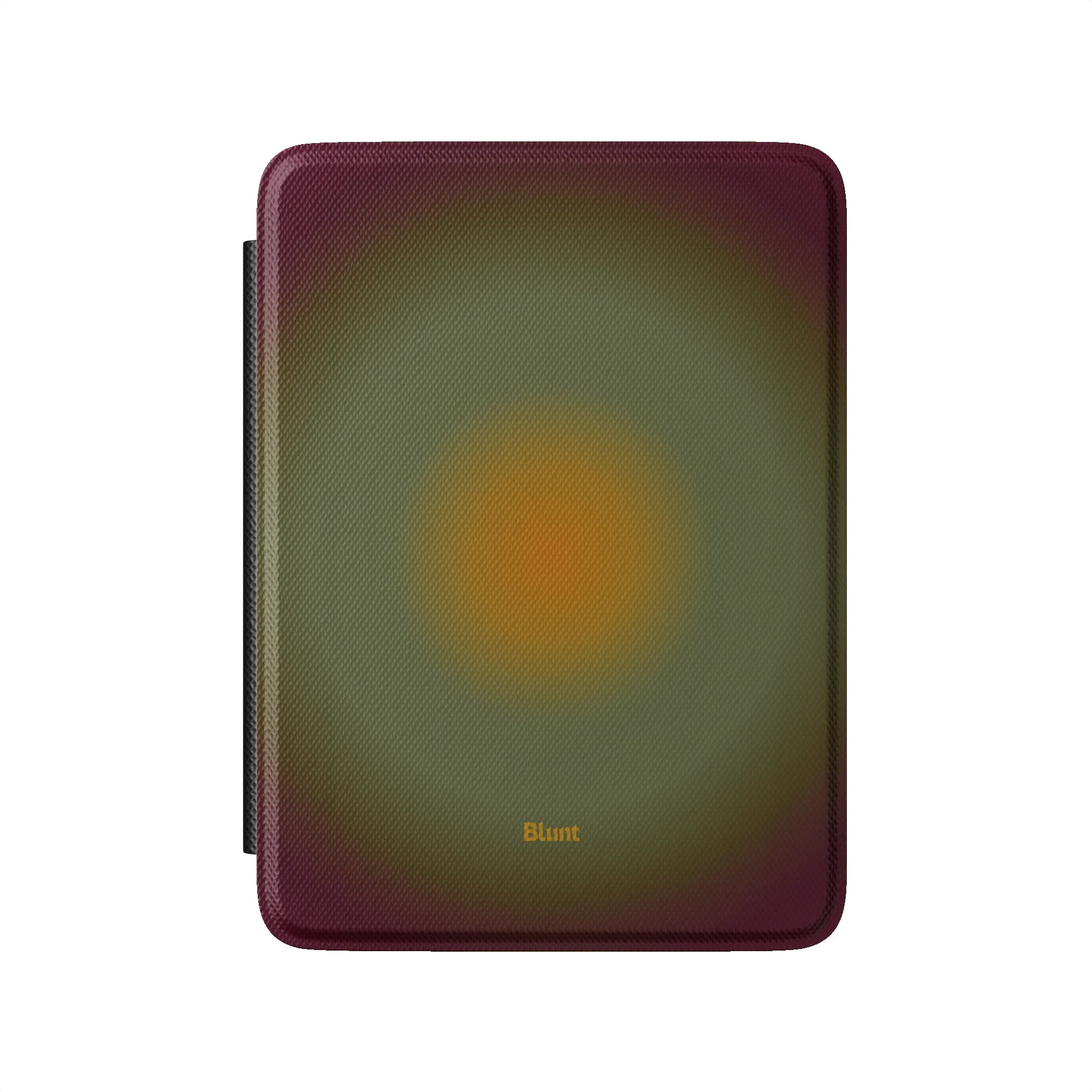 Kindle_Standard_2
