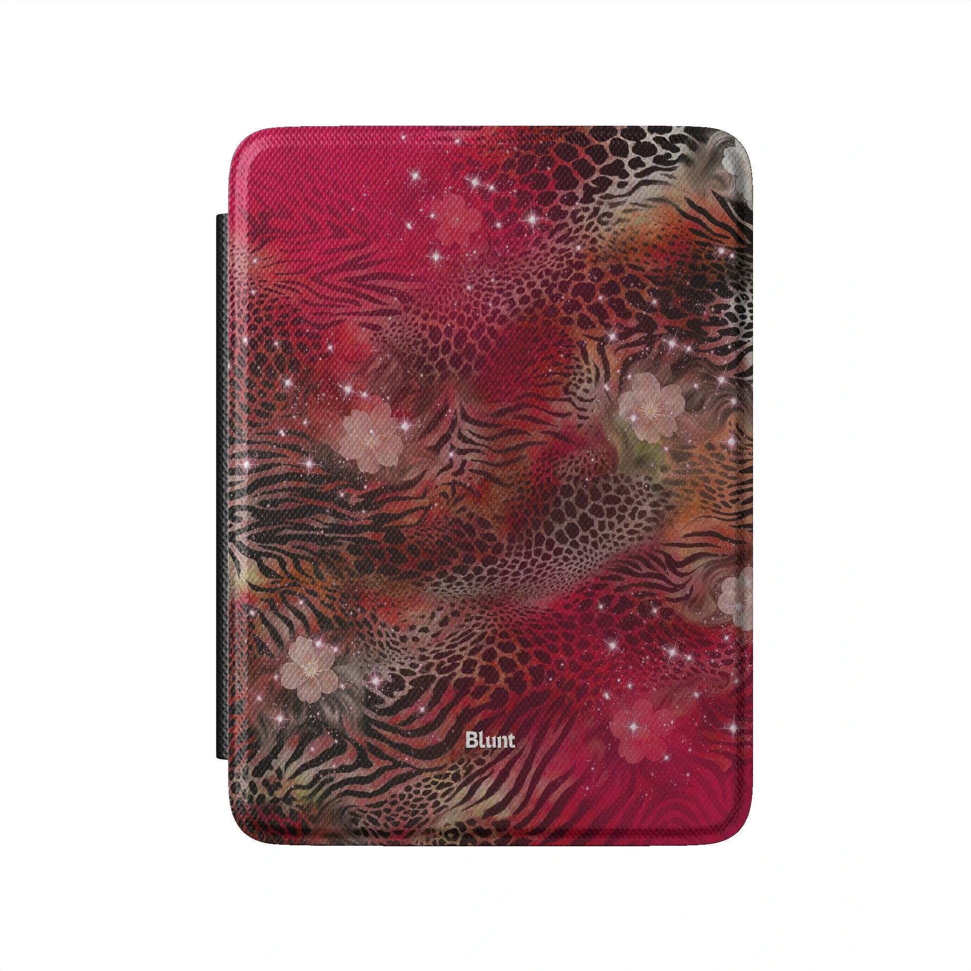 Kindle_Standard_2