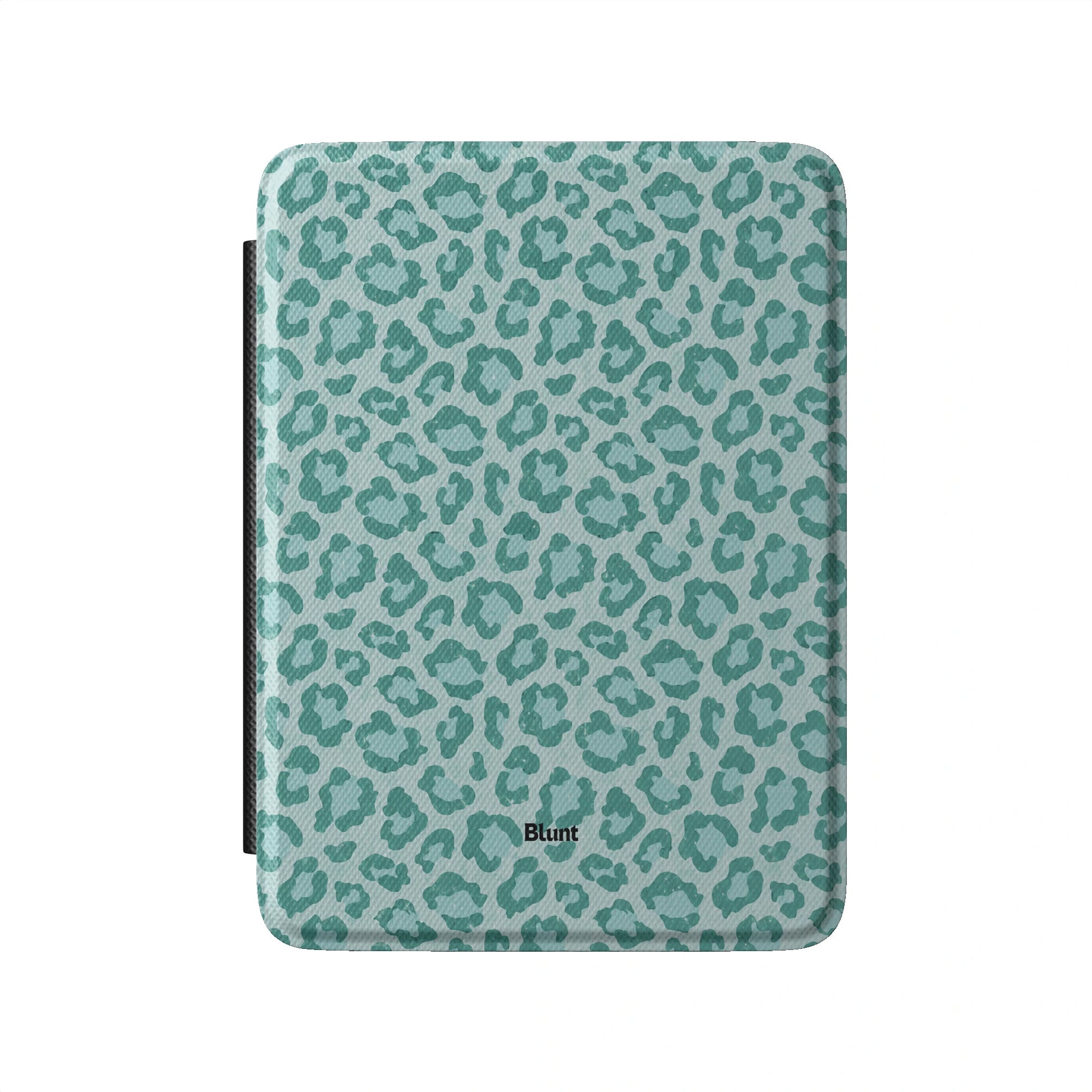 Kindle_Standard_2