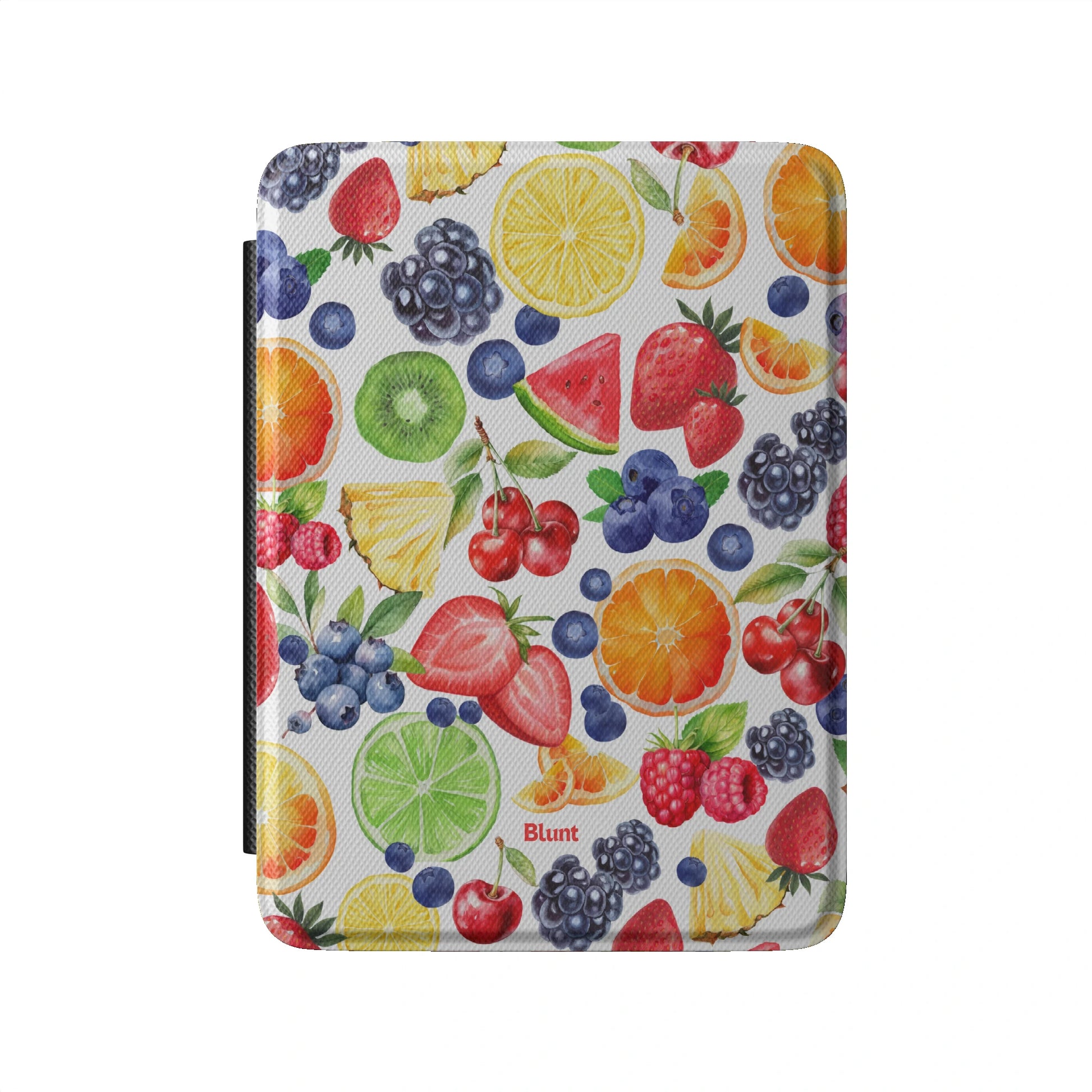 Kindle_Standard_2