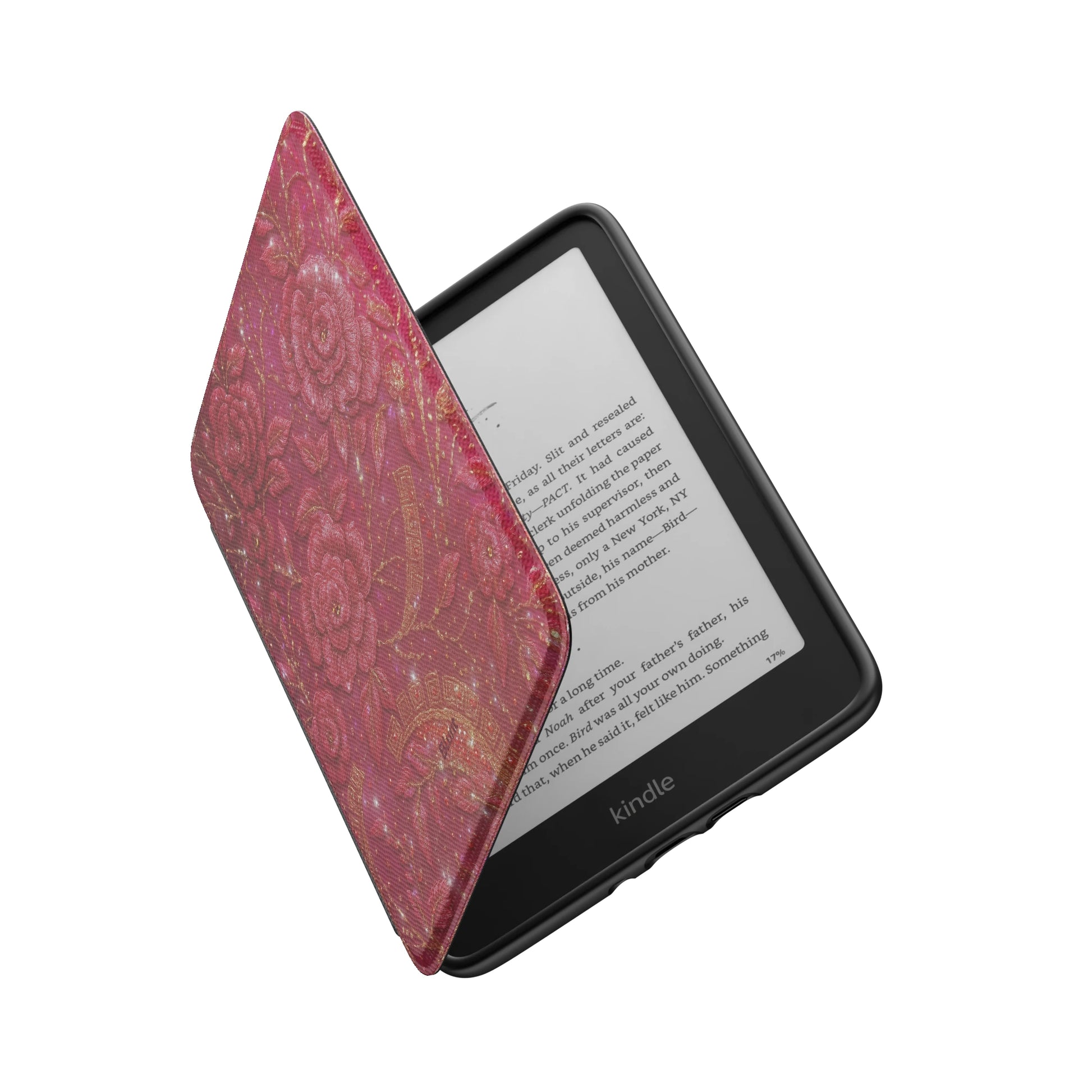 Kindle_Standard_6