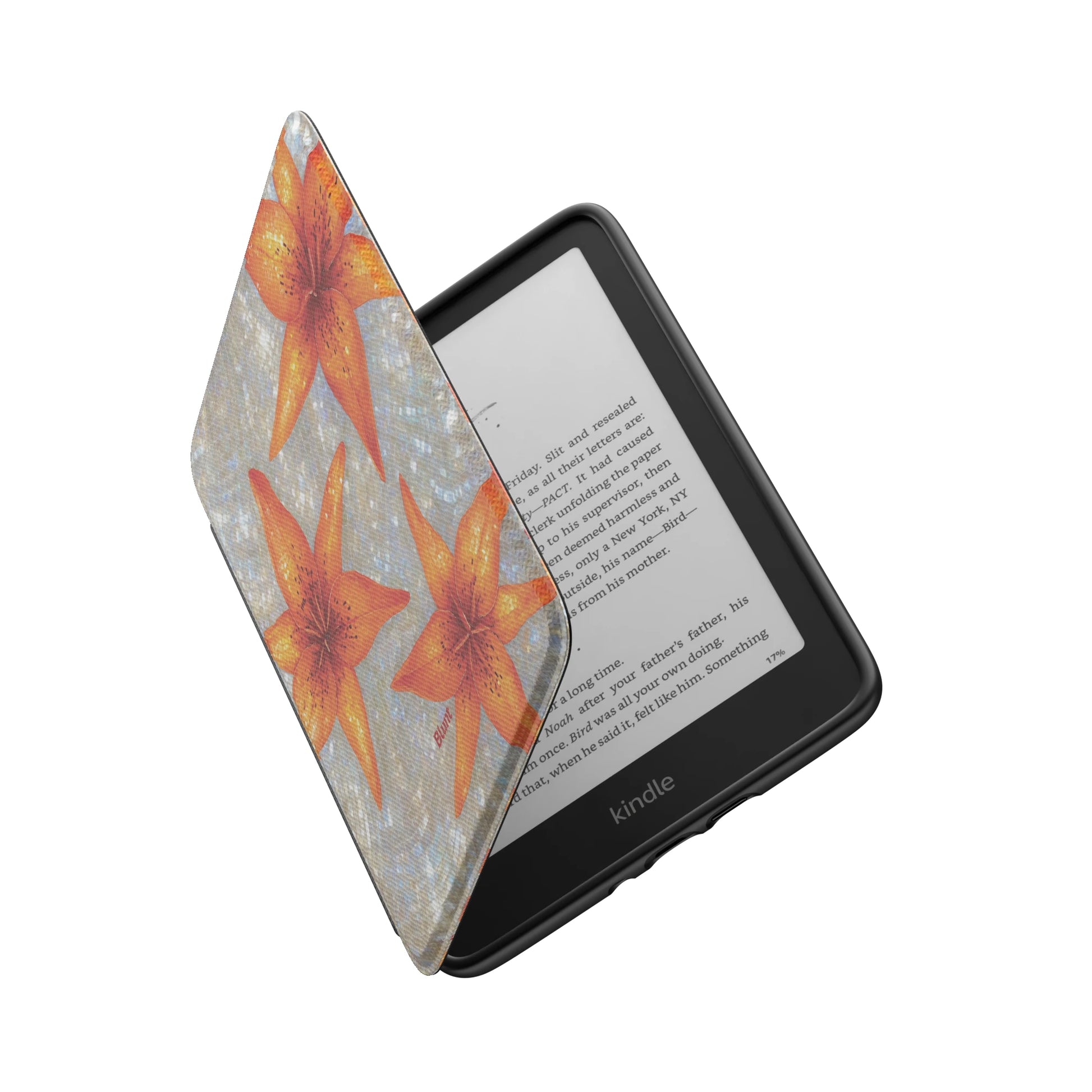 Kindle_Standard_6