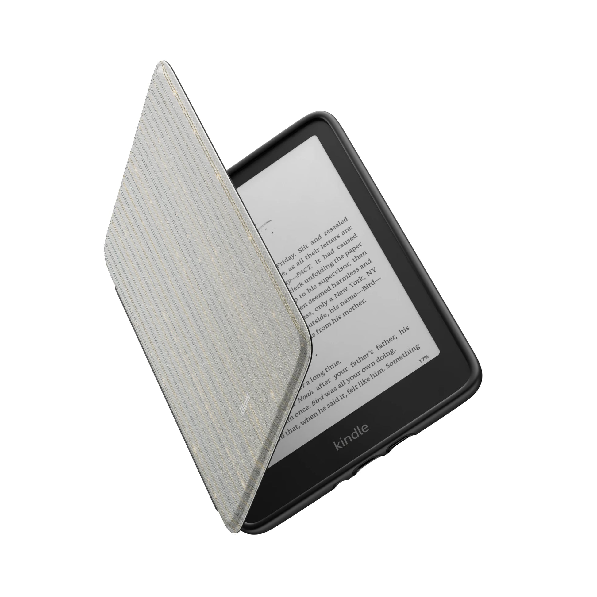 Kindle_Standard_6