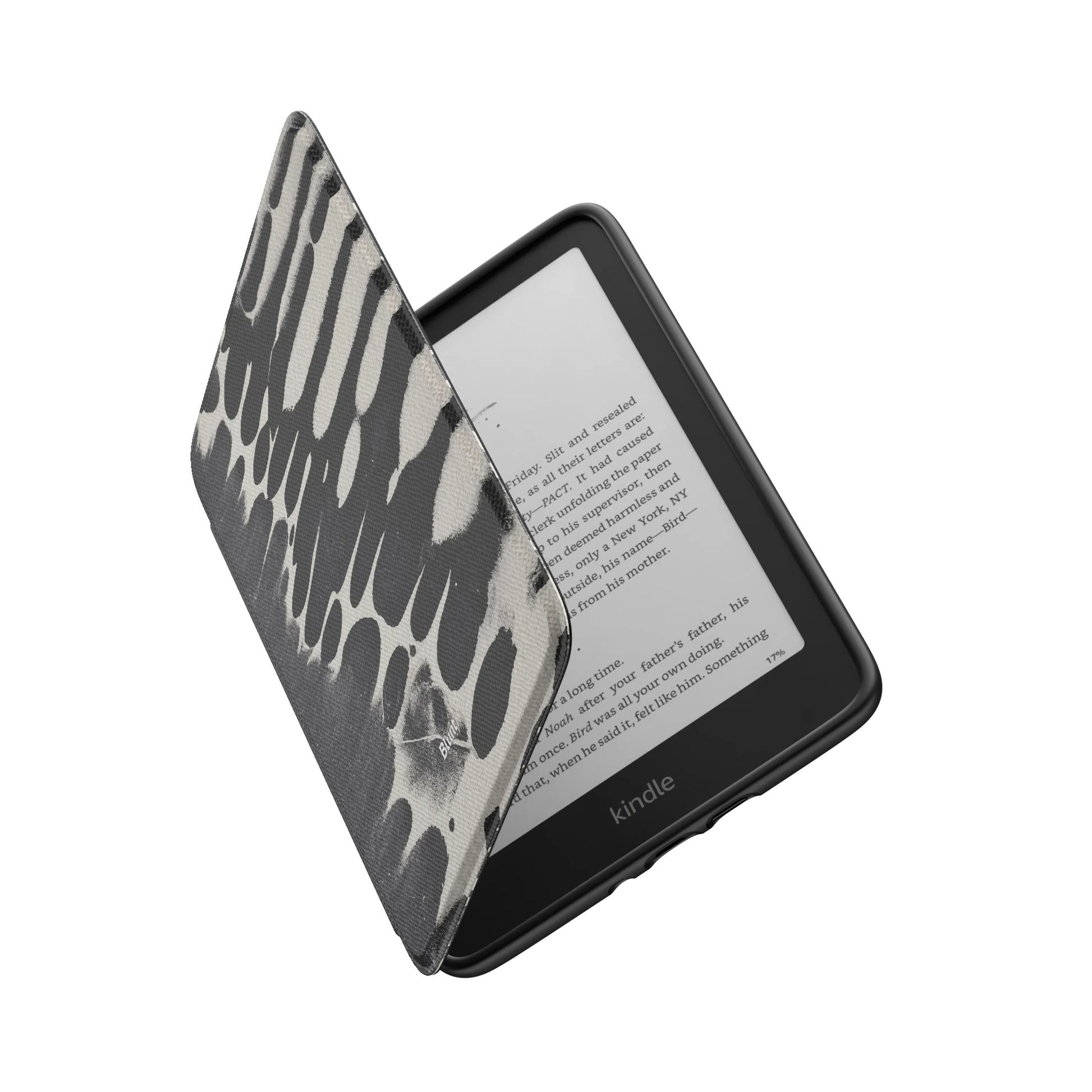 Kindle_Standard_6