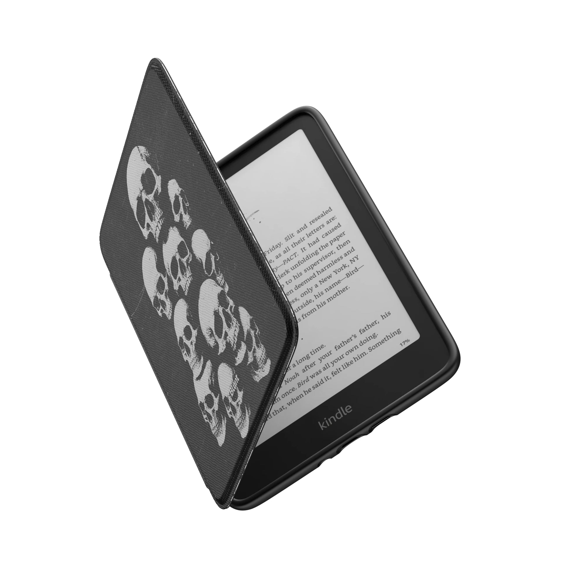 Kindle_Standard_6