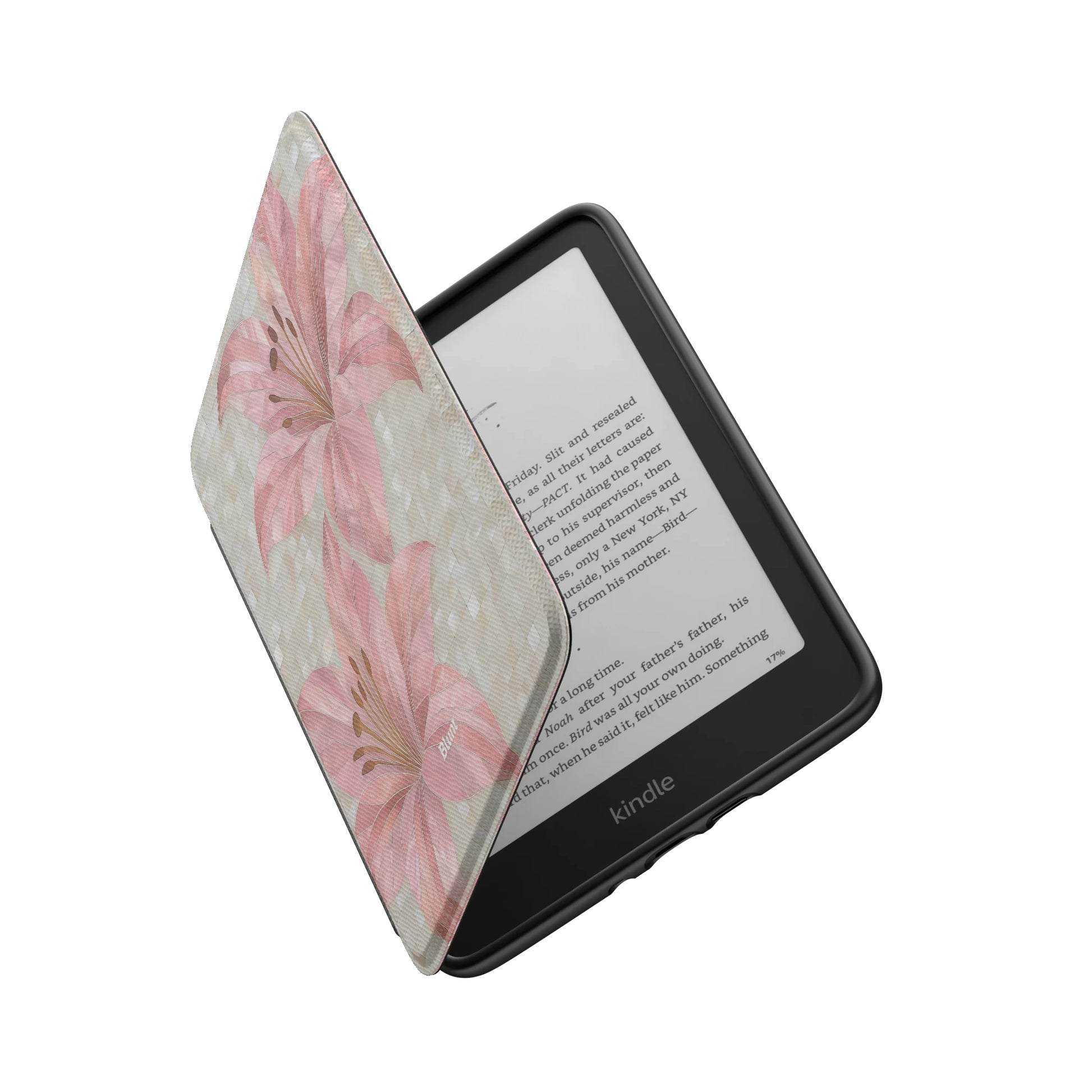 Kindle_Standard_6