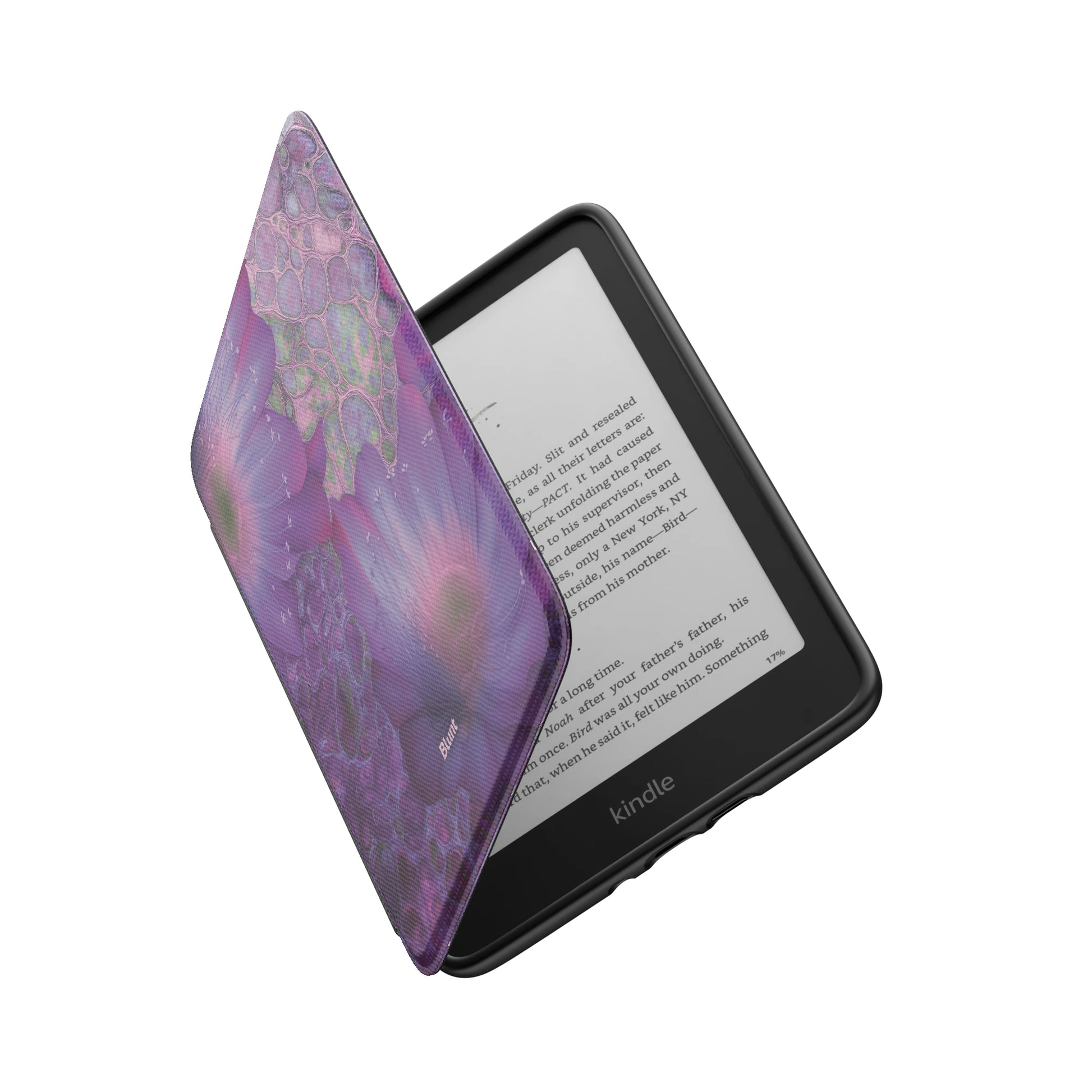 Kindle_Standard_6