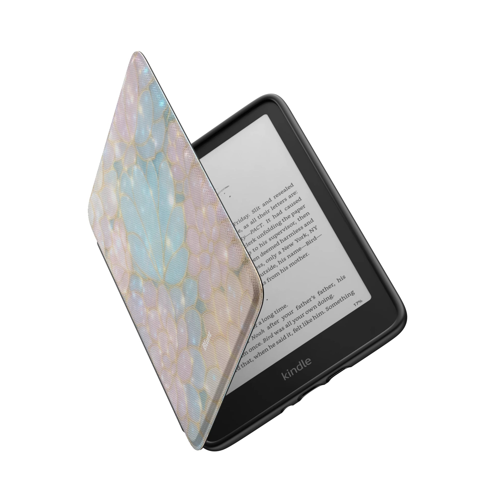 Kindle_Standard_6