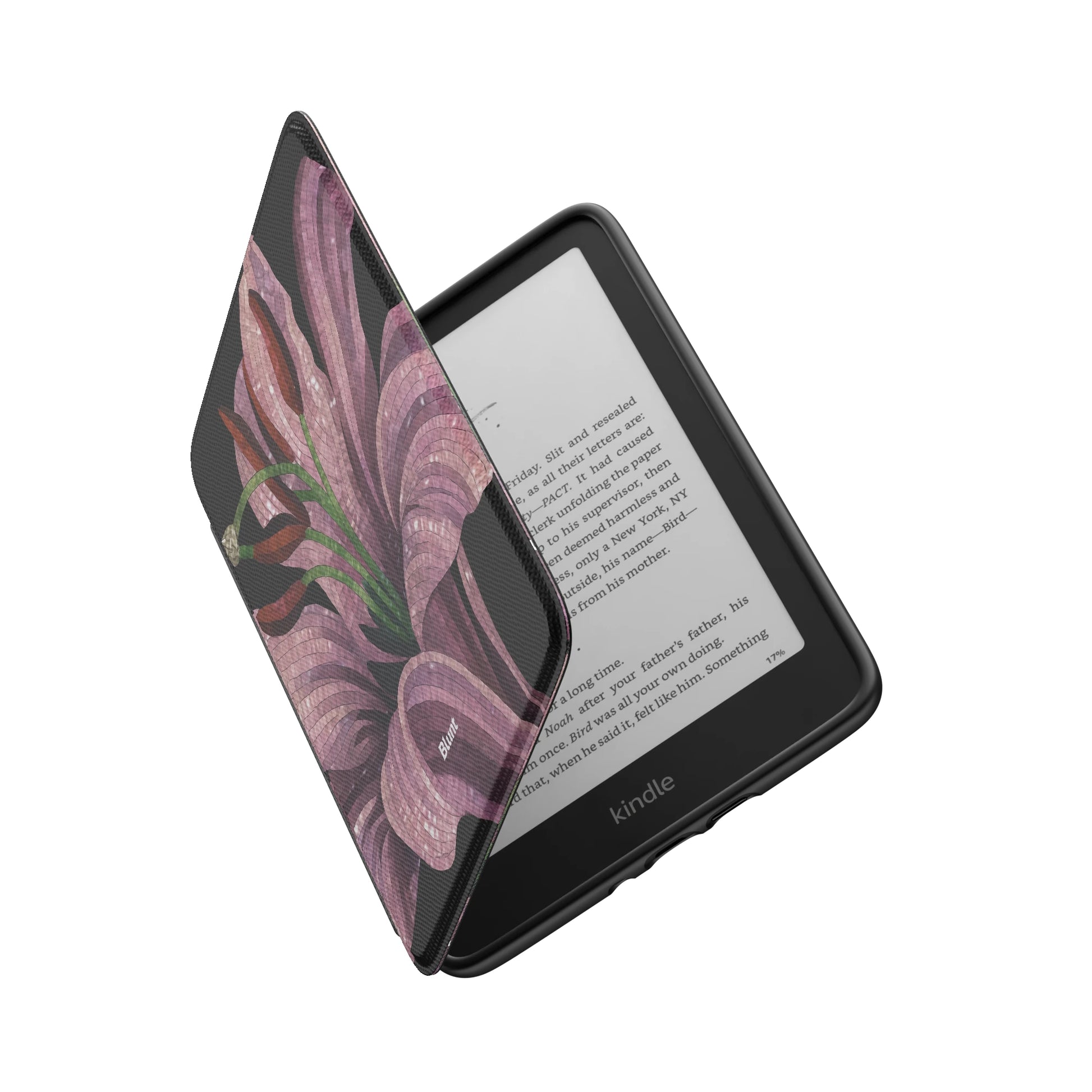 Kindle_Standard_6