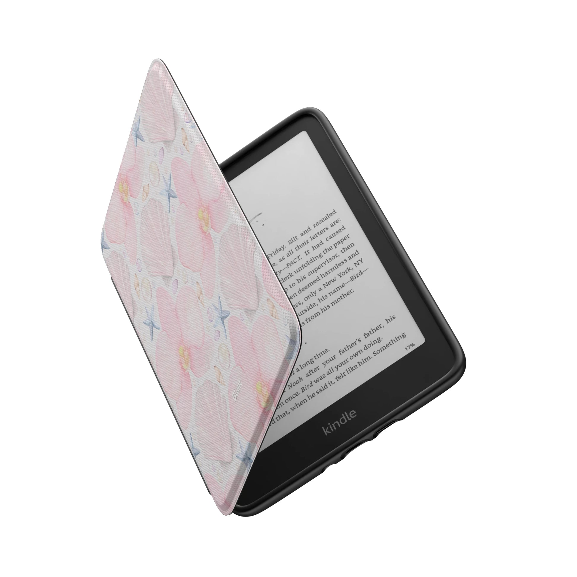 Kindle_Standard_6