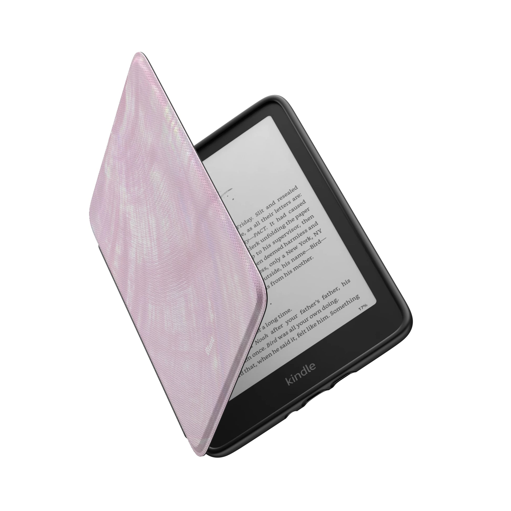 Kindle_Standard_6