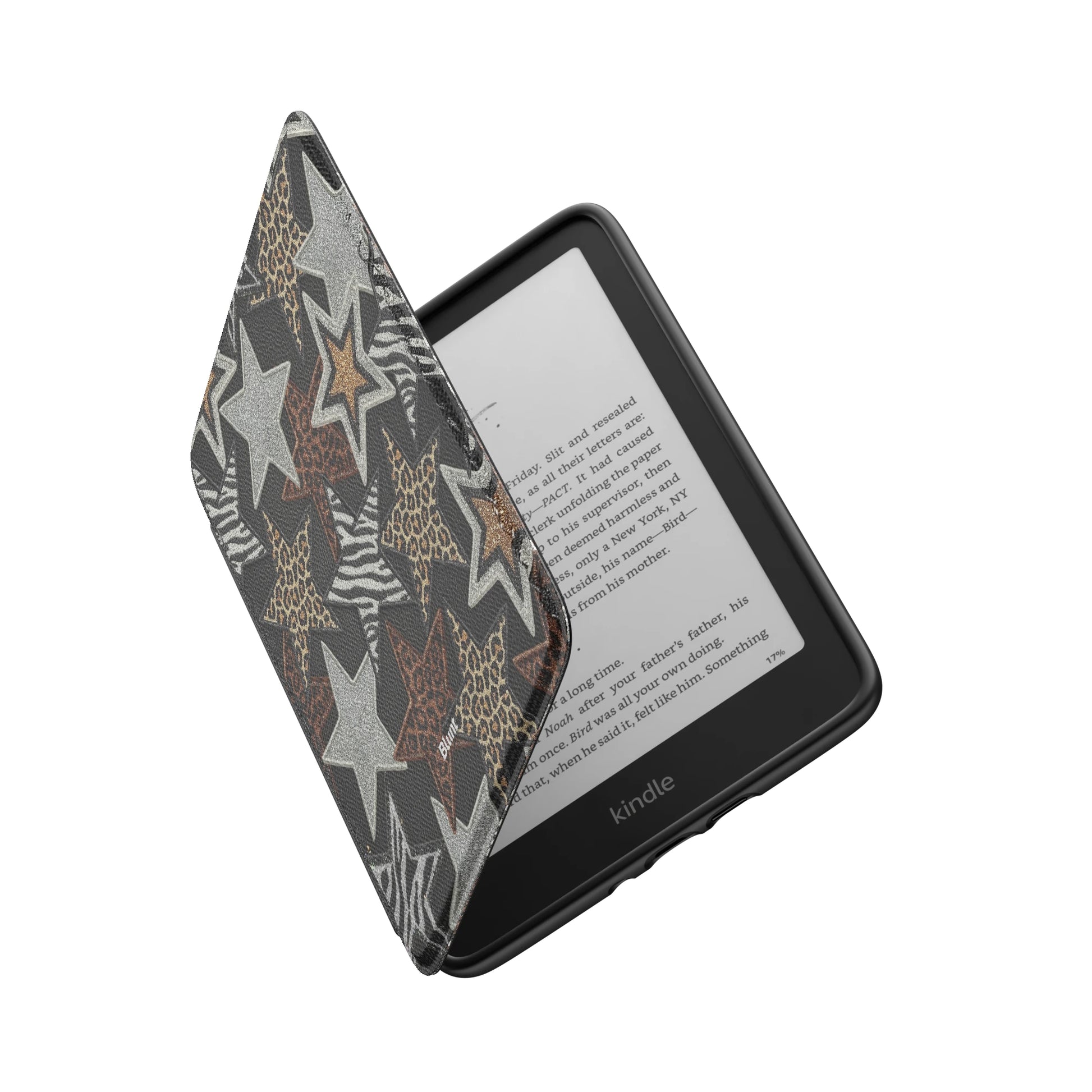 Kindle_Standard_6
