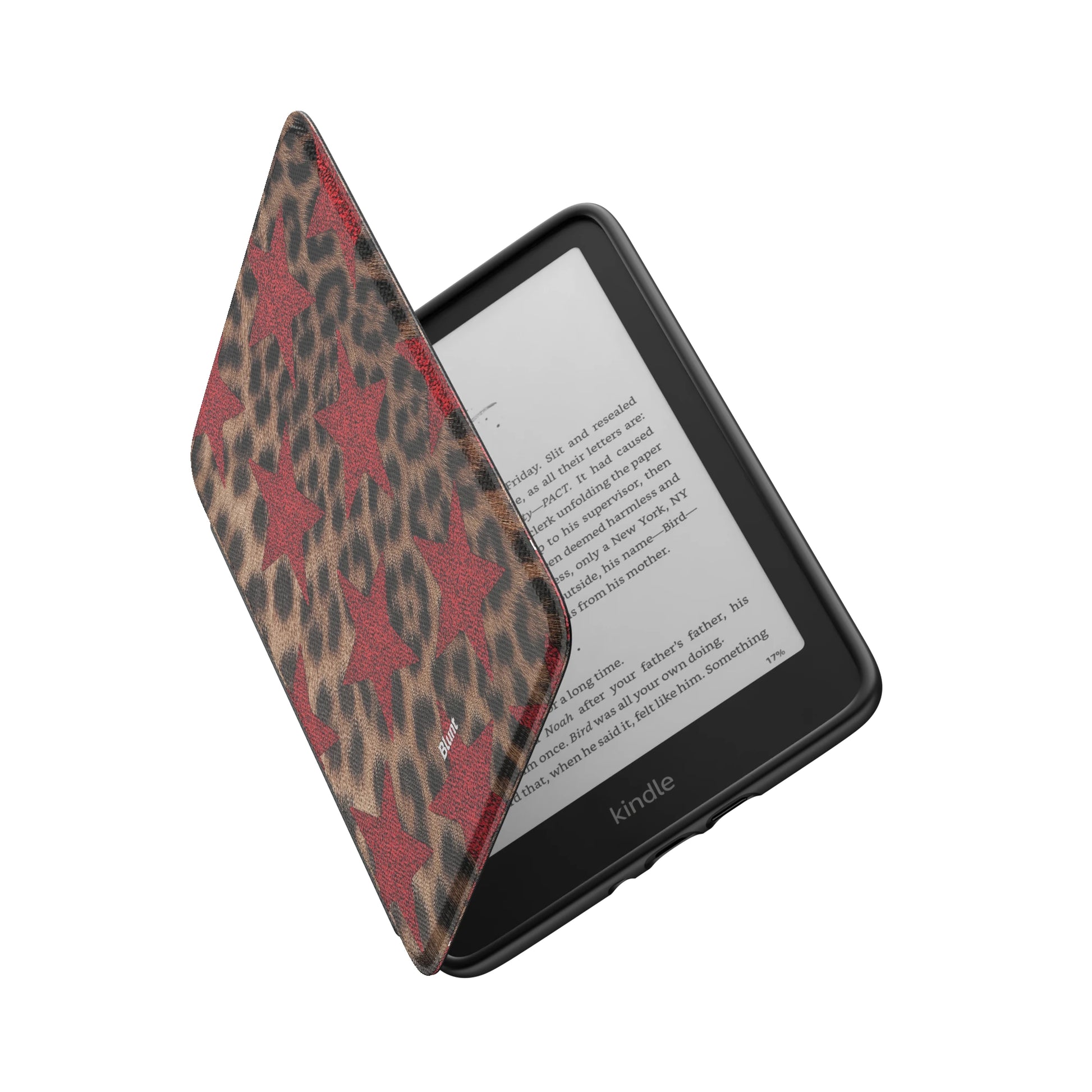 Kindle_Standard_6