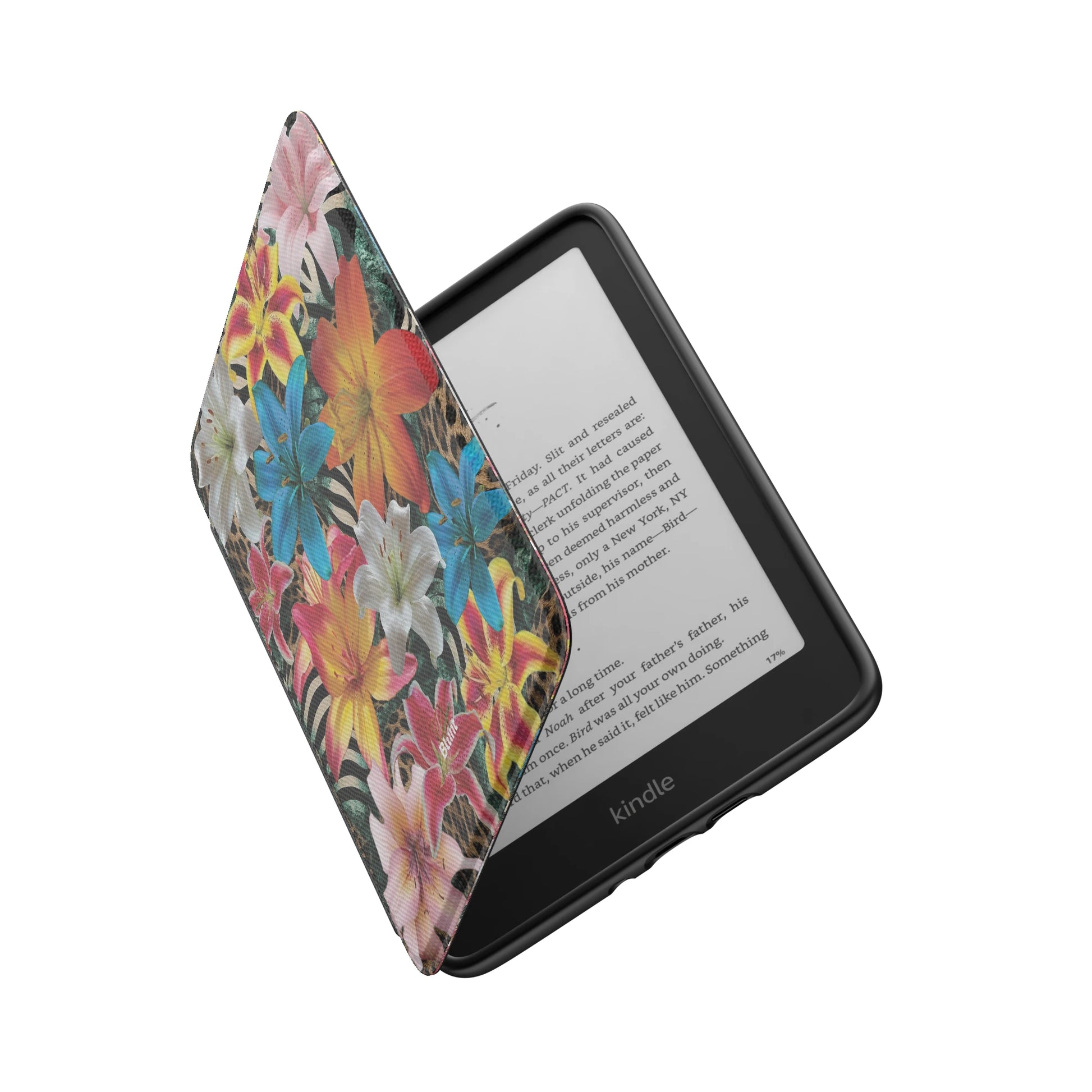 Kindle_Standard_6