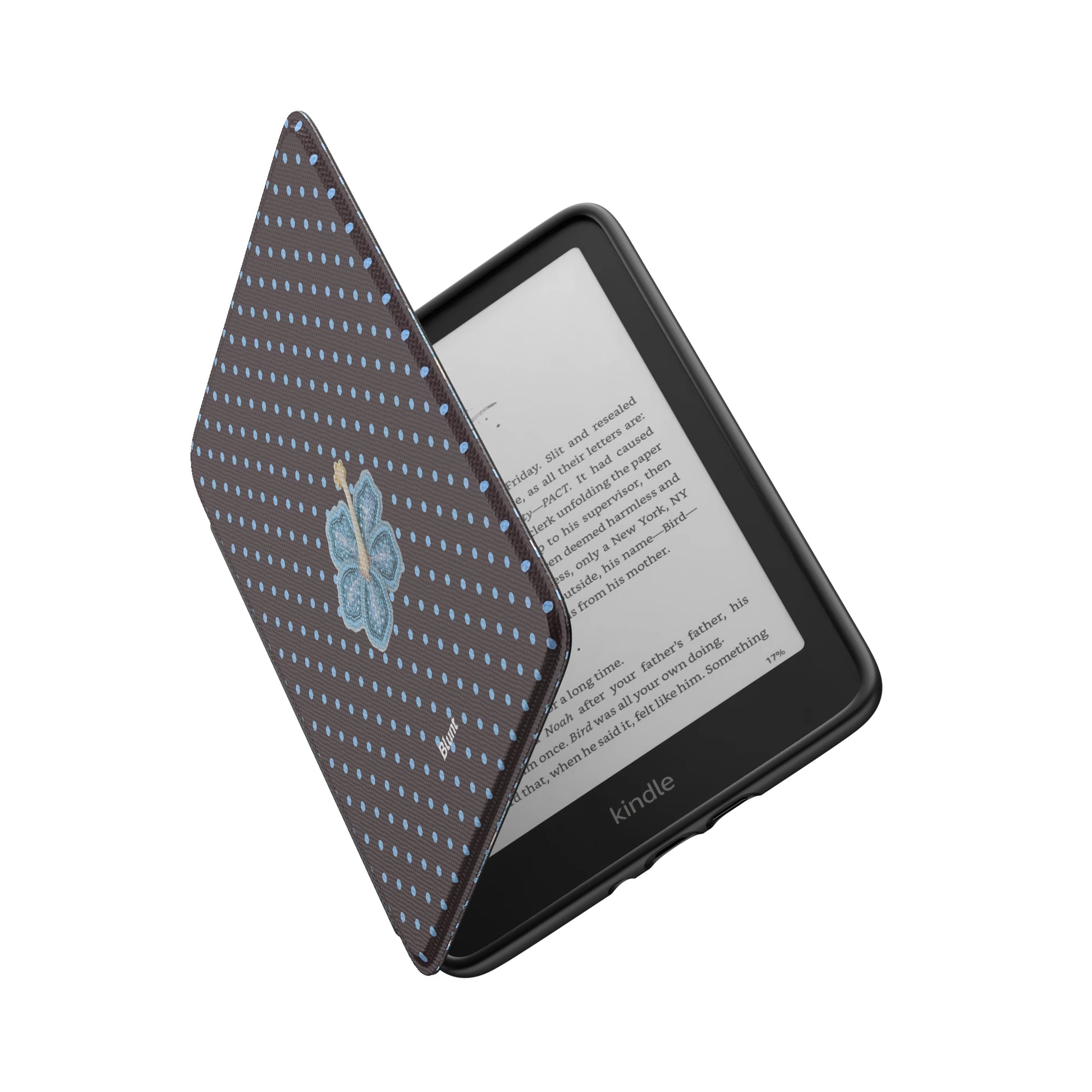 Kindle_Standard_6