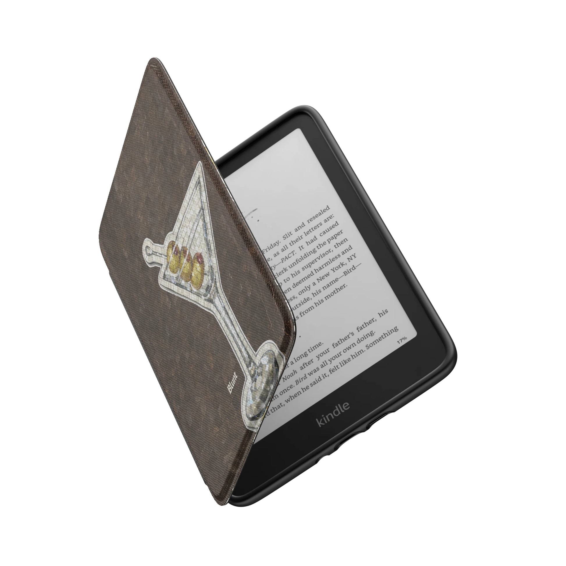 Kindle_Standard_6