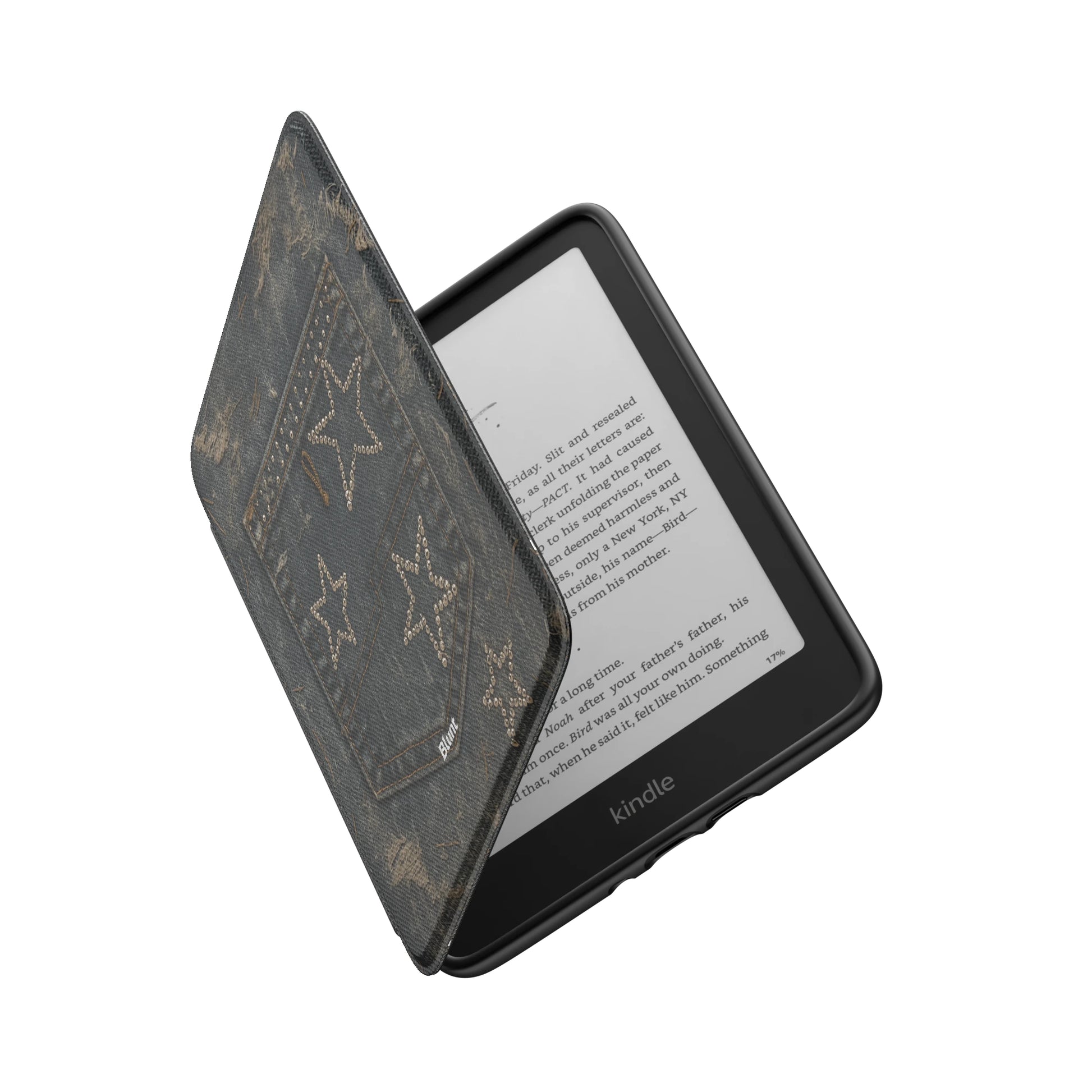 Kindle_Standard_6