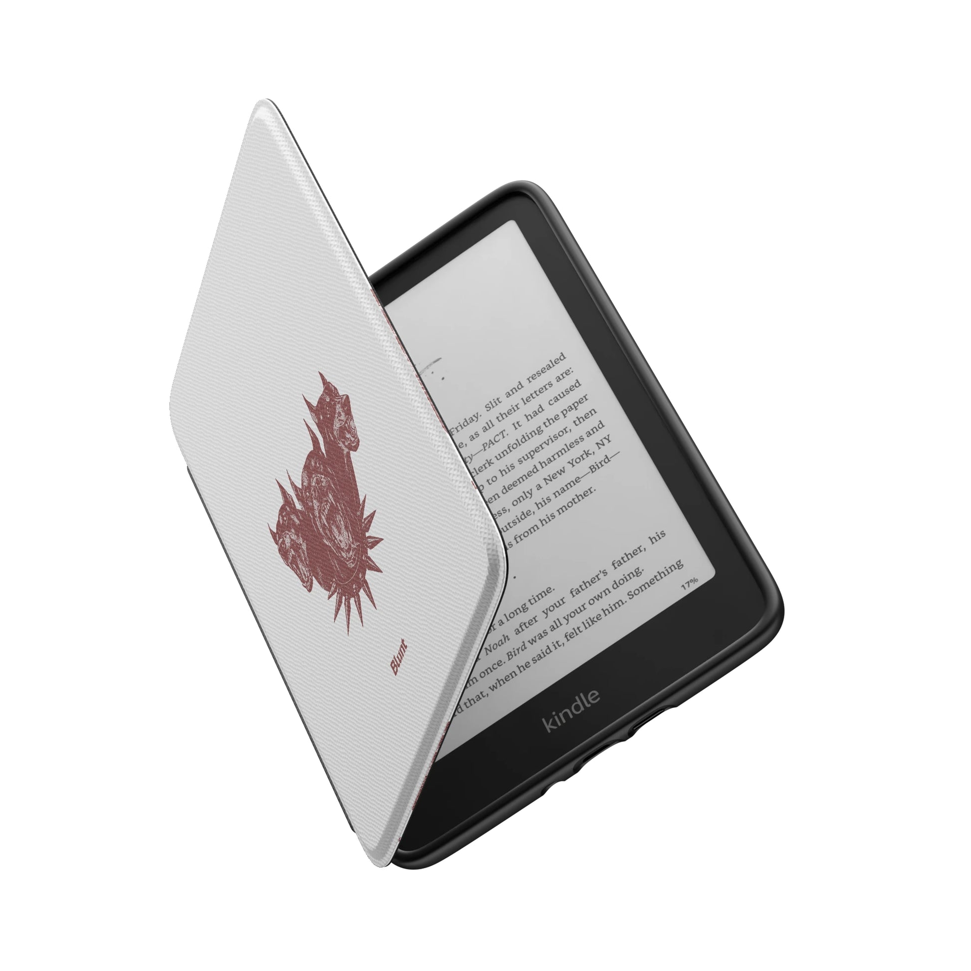 Kindle_Standard_6