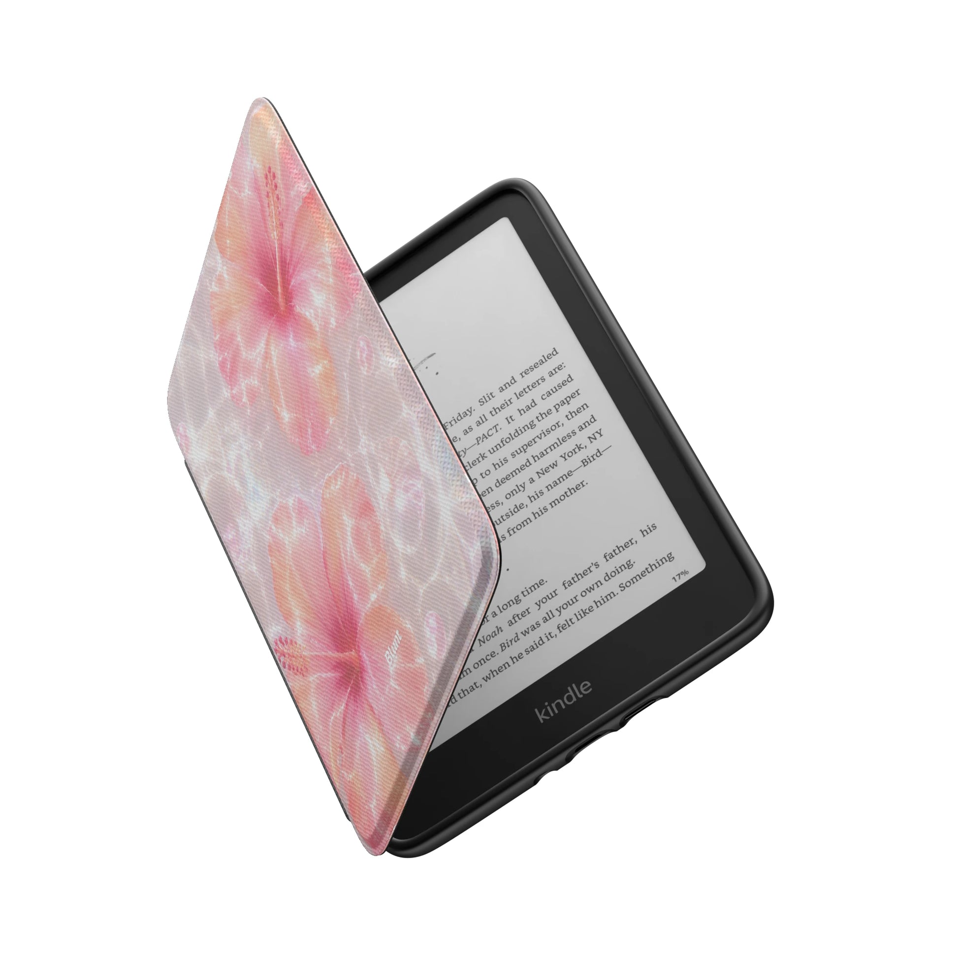 Kindle_Standard_6