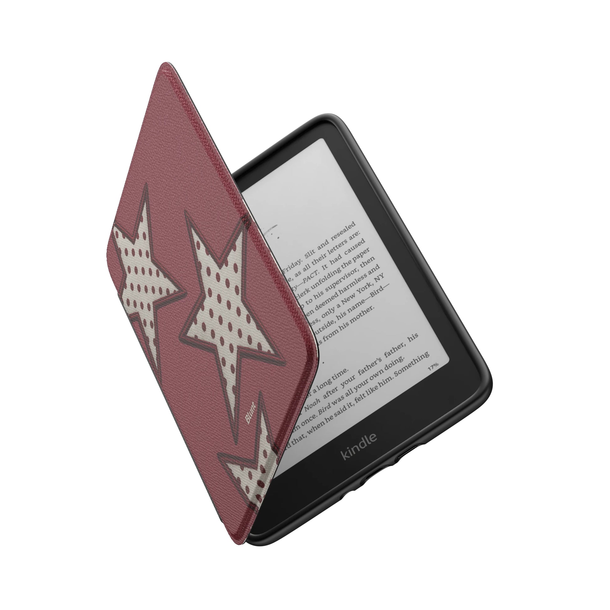 Kindle_Standard_6