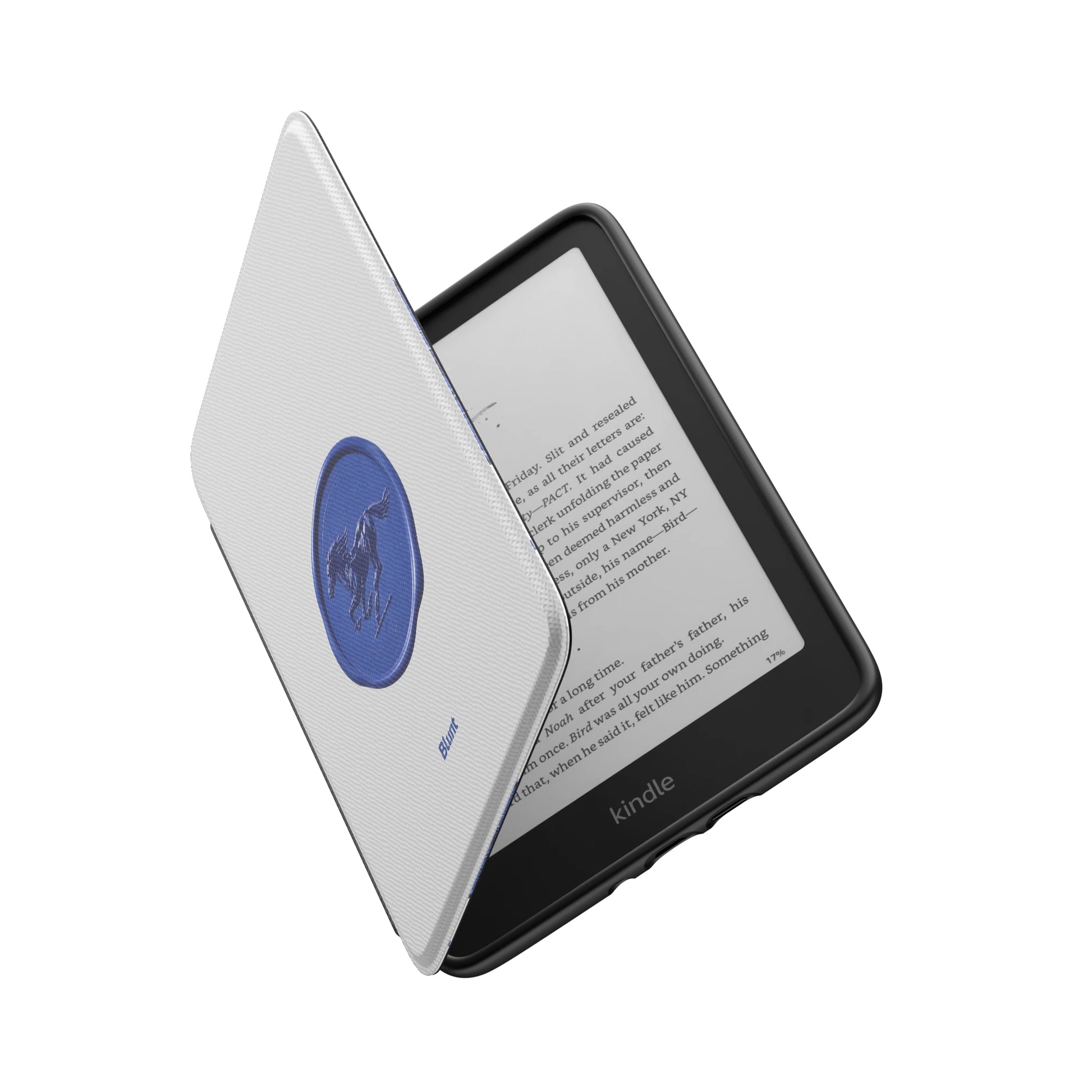 Kindle_Standard_6