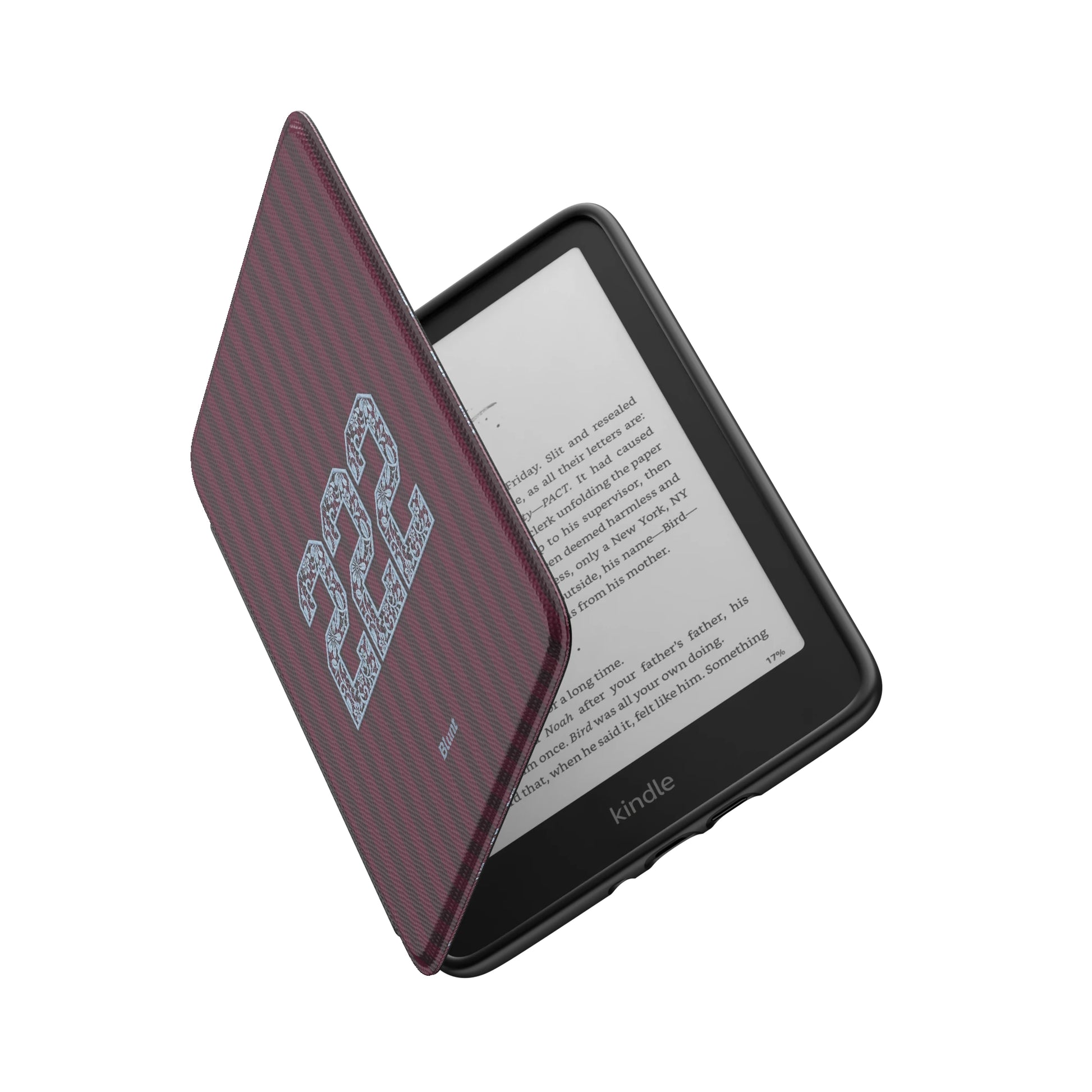 Kindle_Standard_6