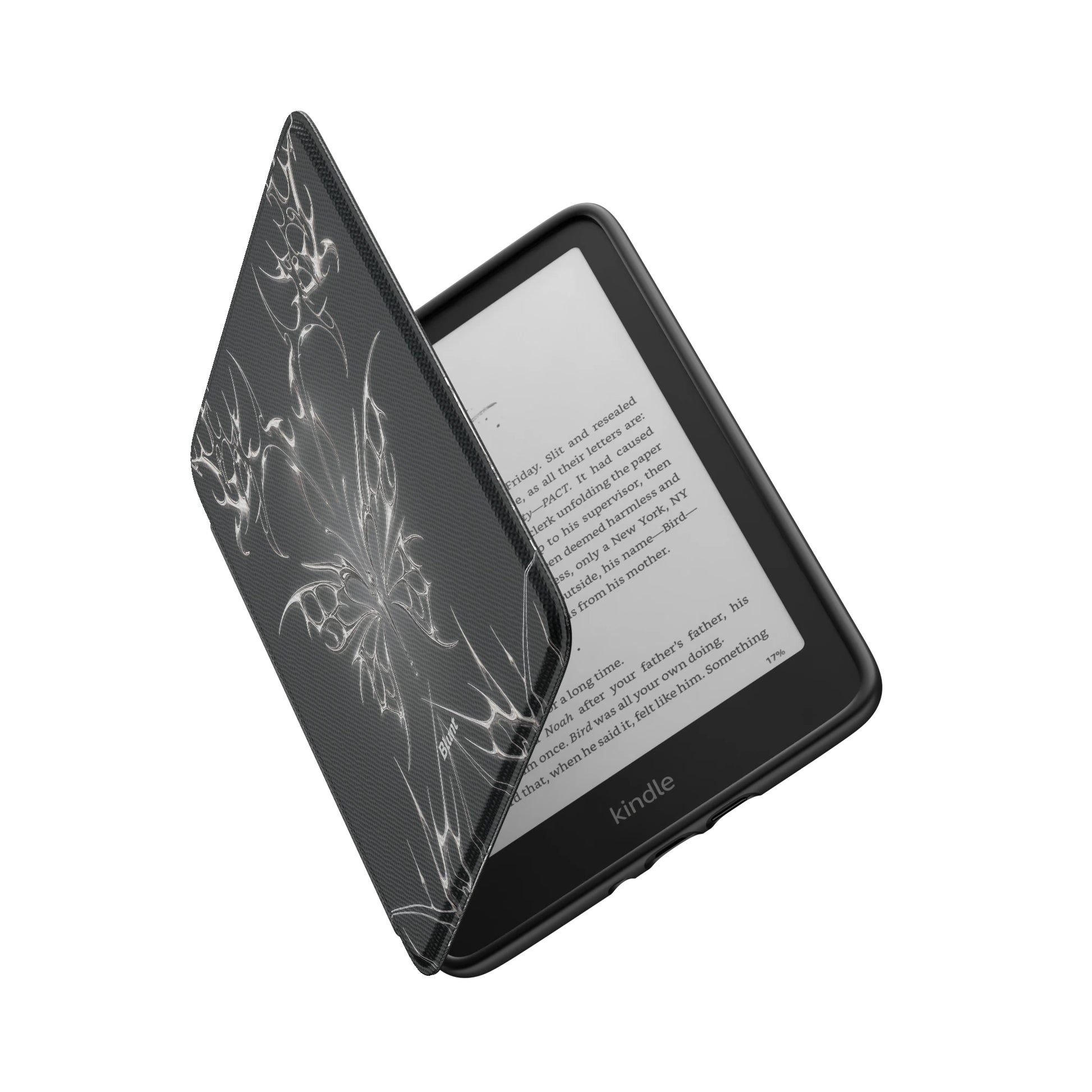 Kindle_Standard_6