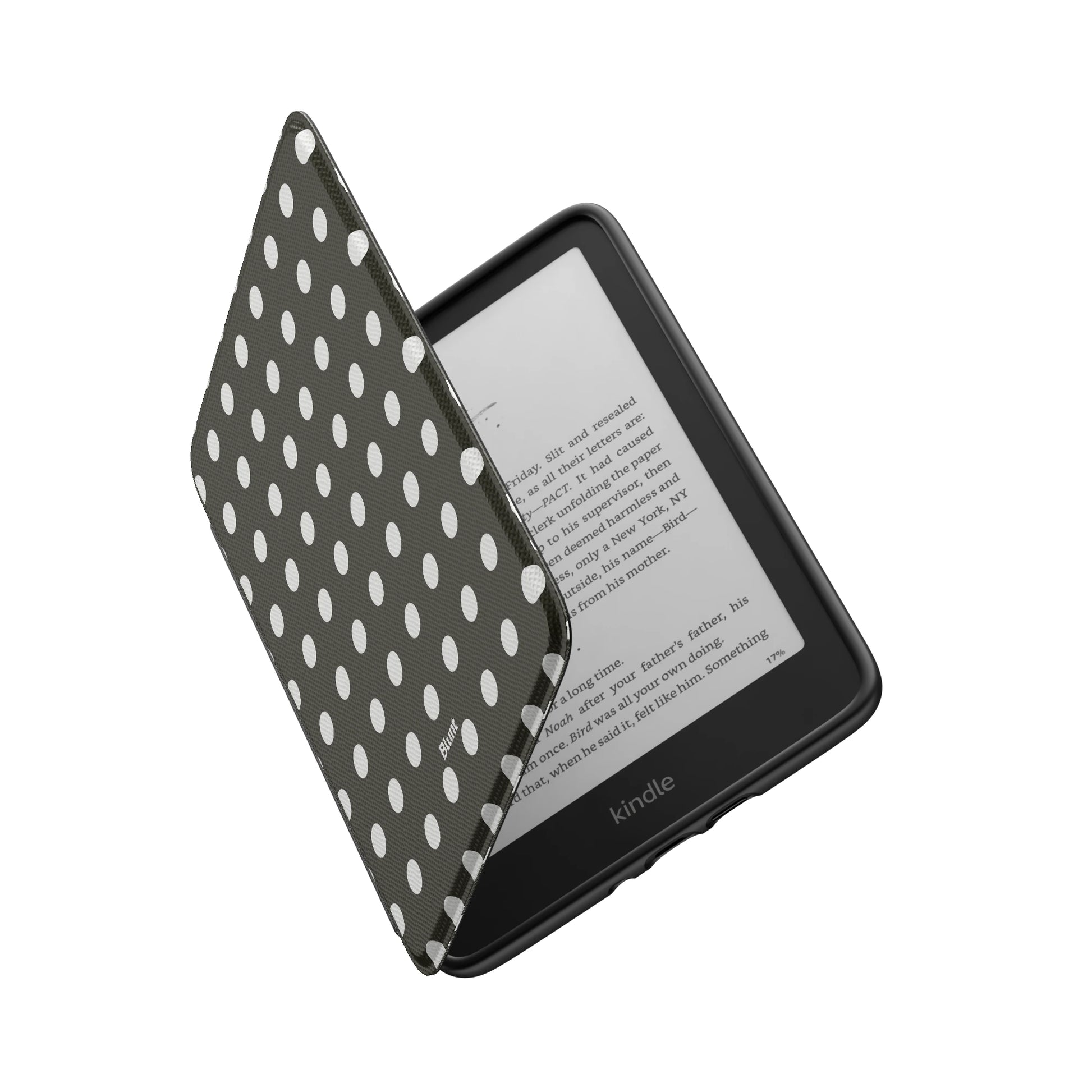Kindle_Standard_6