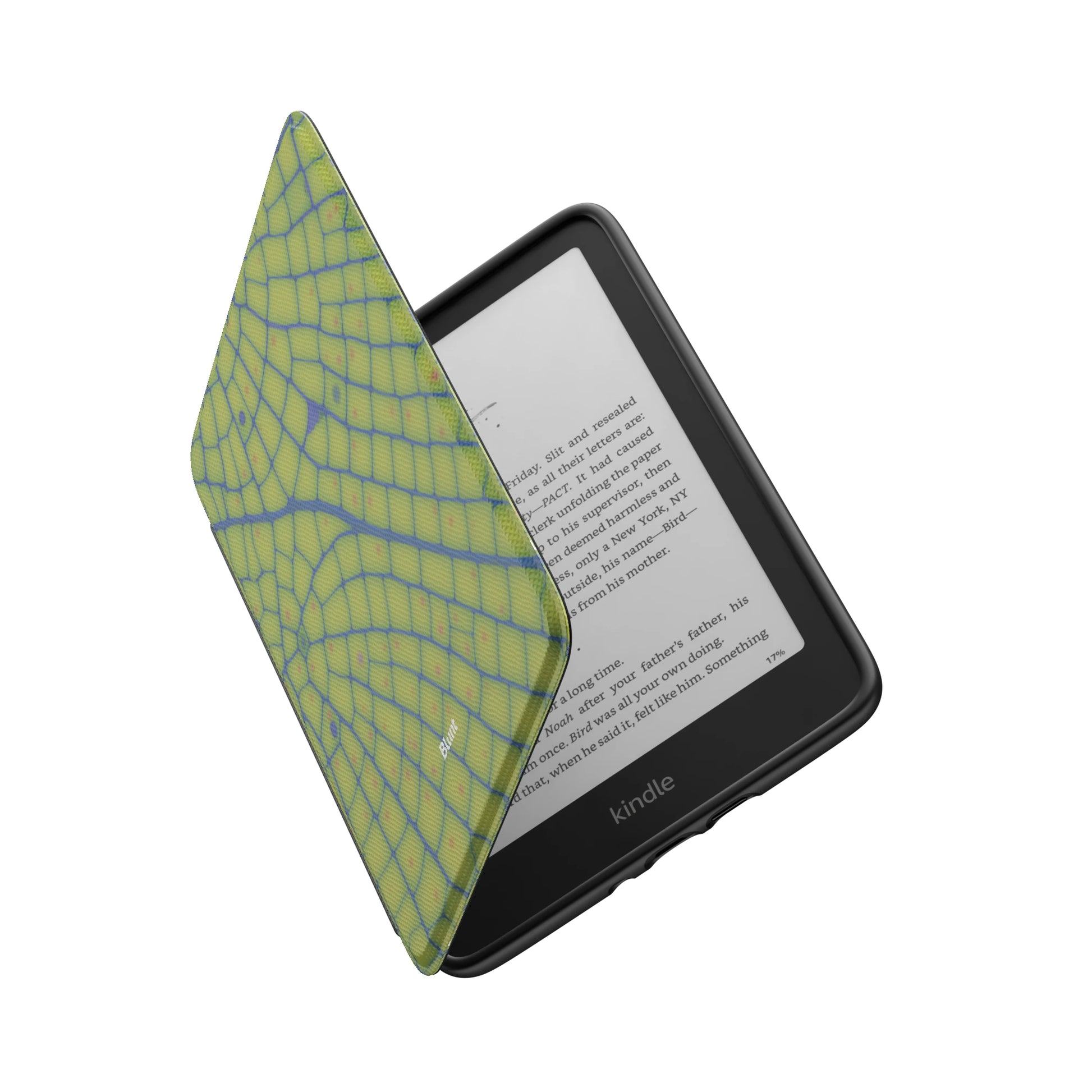 Kindle_Standard_6