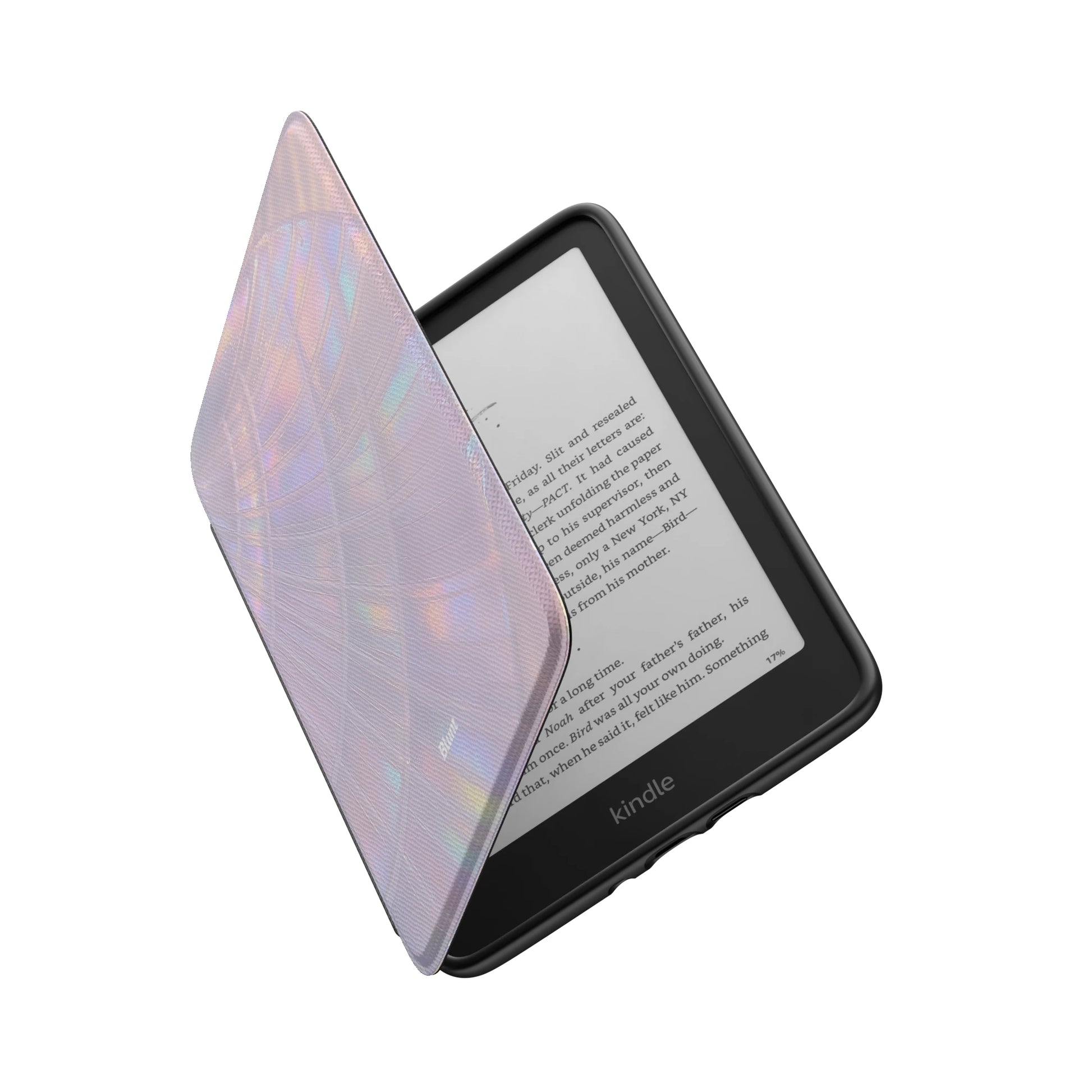 Kindle_Standard_6