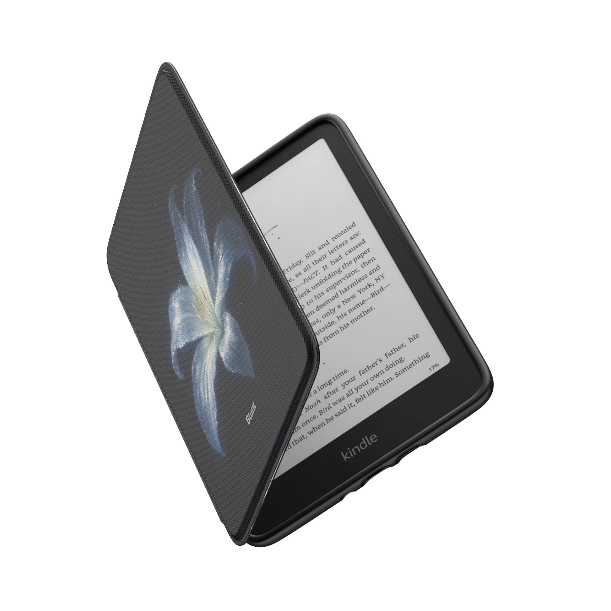 Kindle_Standard_6