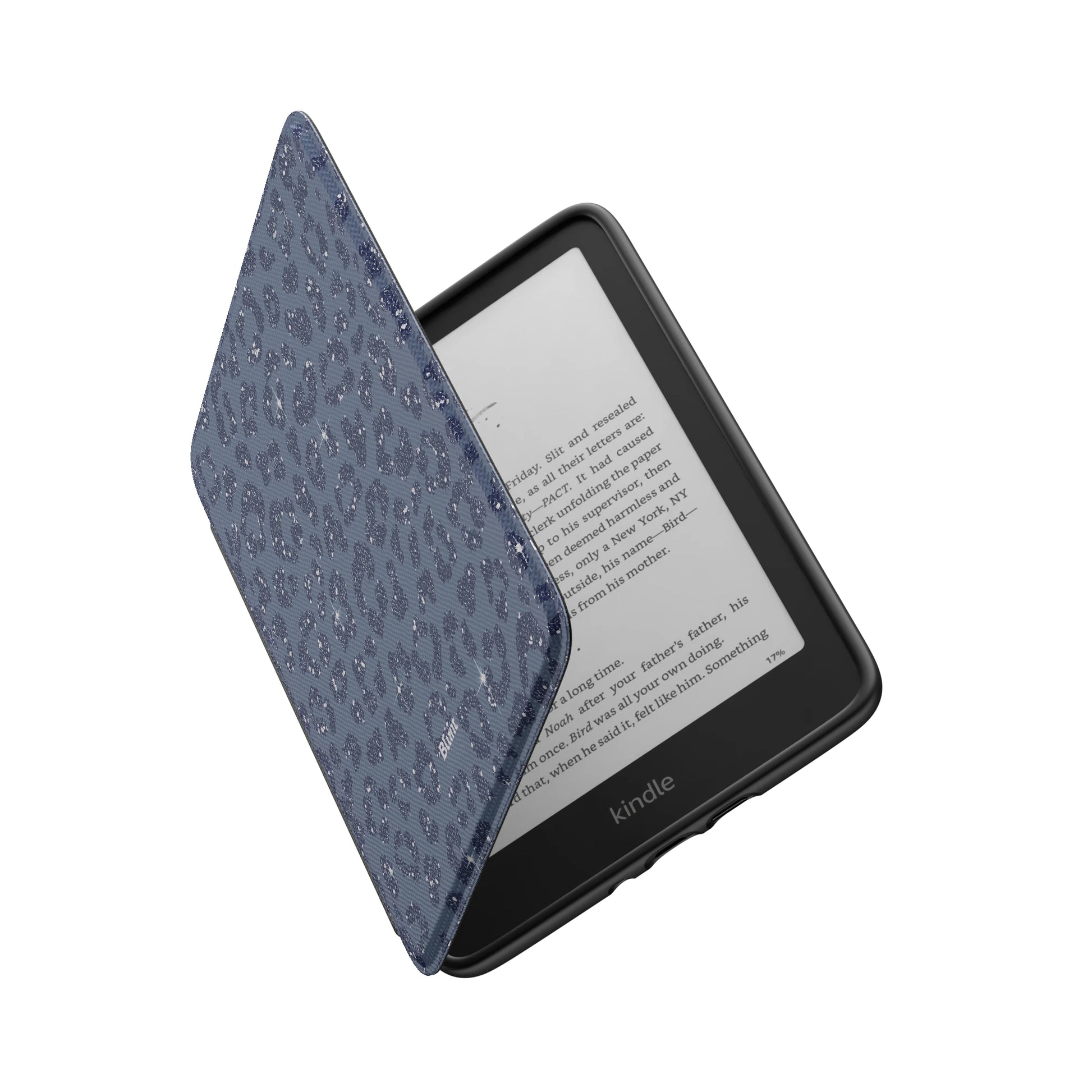 Kindle_Standard_6